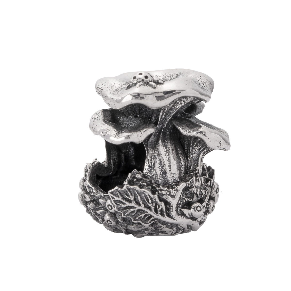 Chanterelle Family