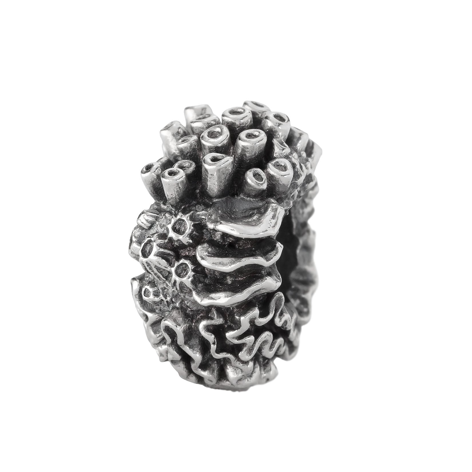 Coral Reef Spacer