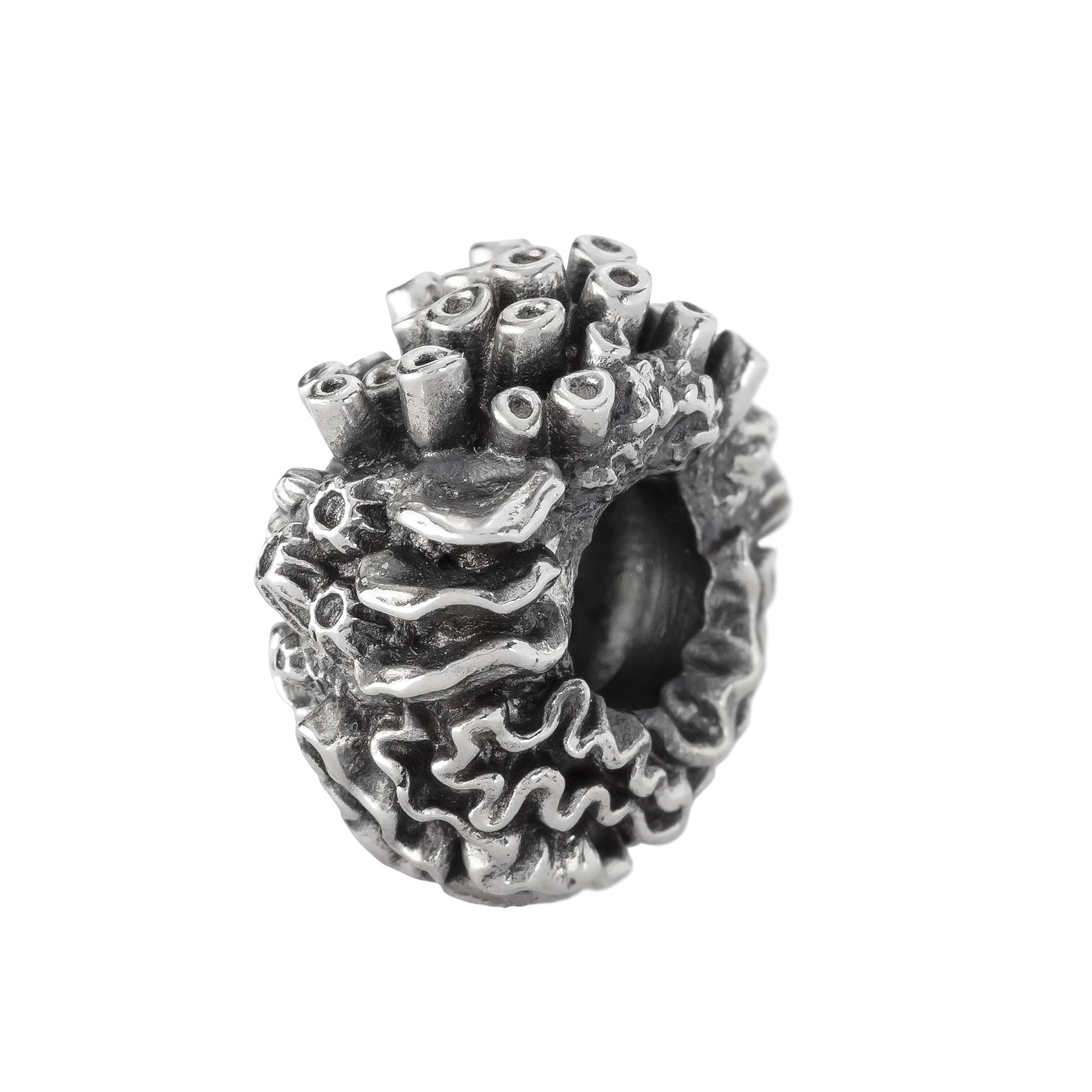 Coral Reef Spacer