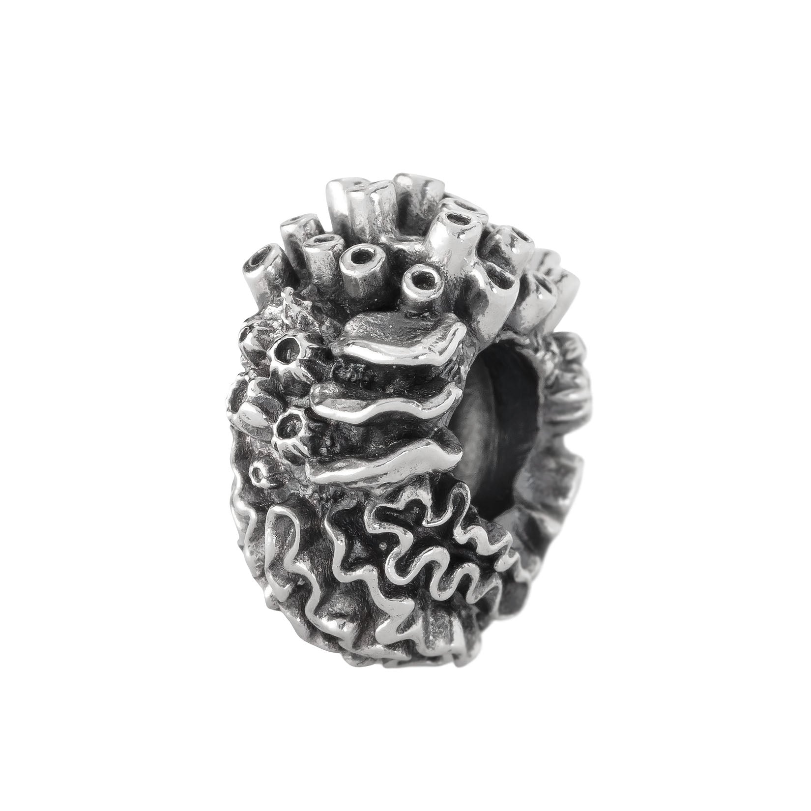 Coral Reef Spacer