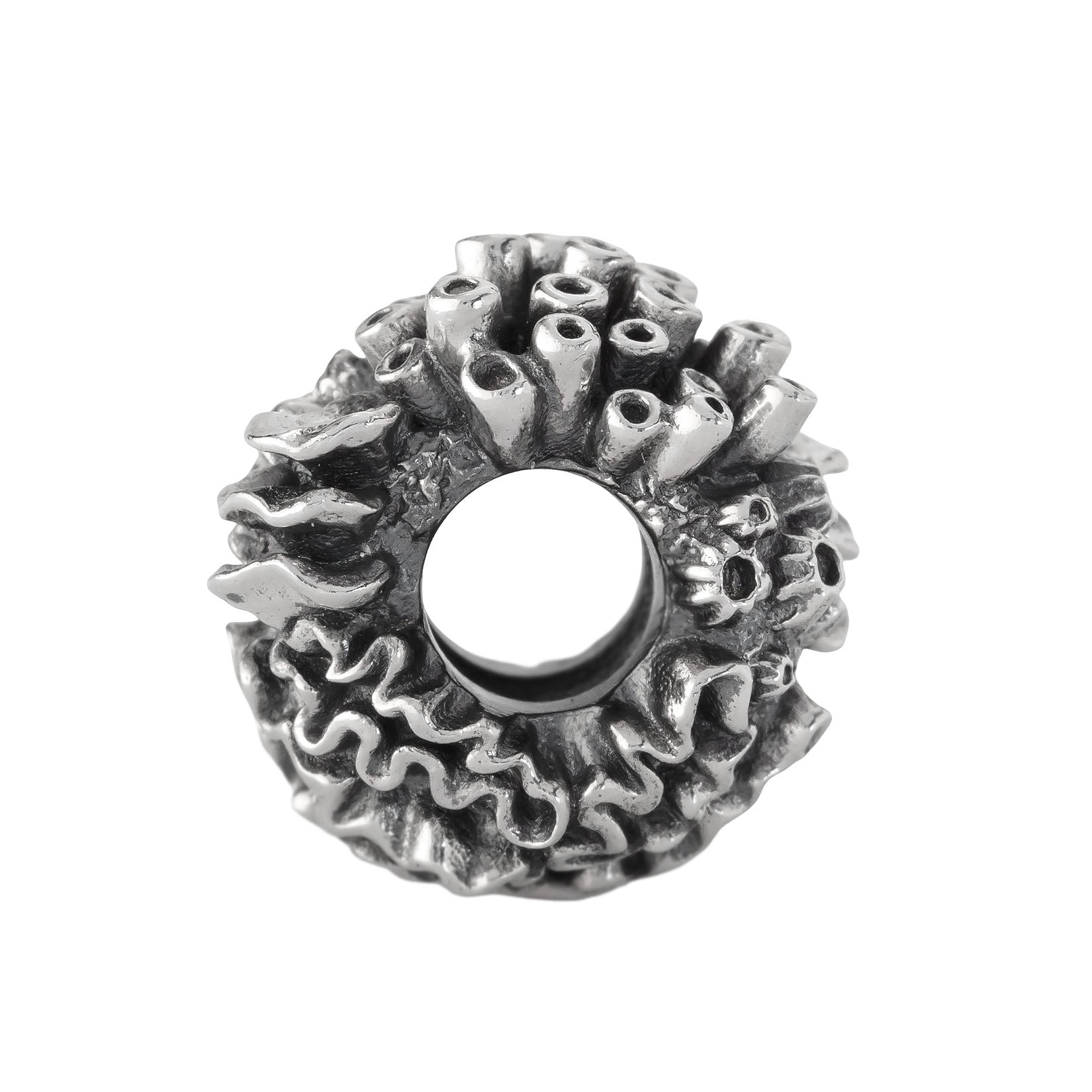 Coral Reef Spacer