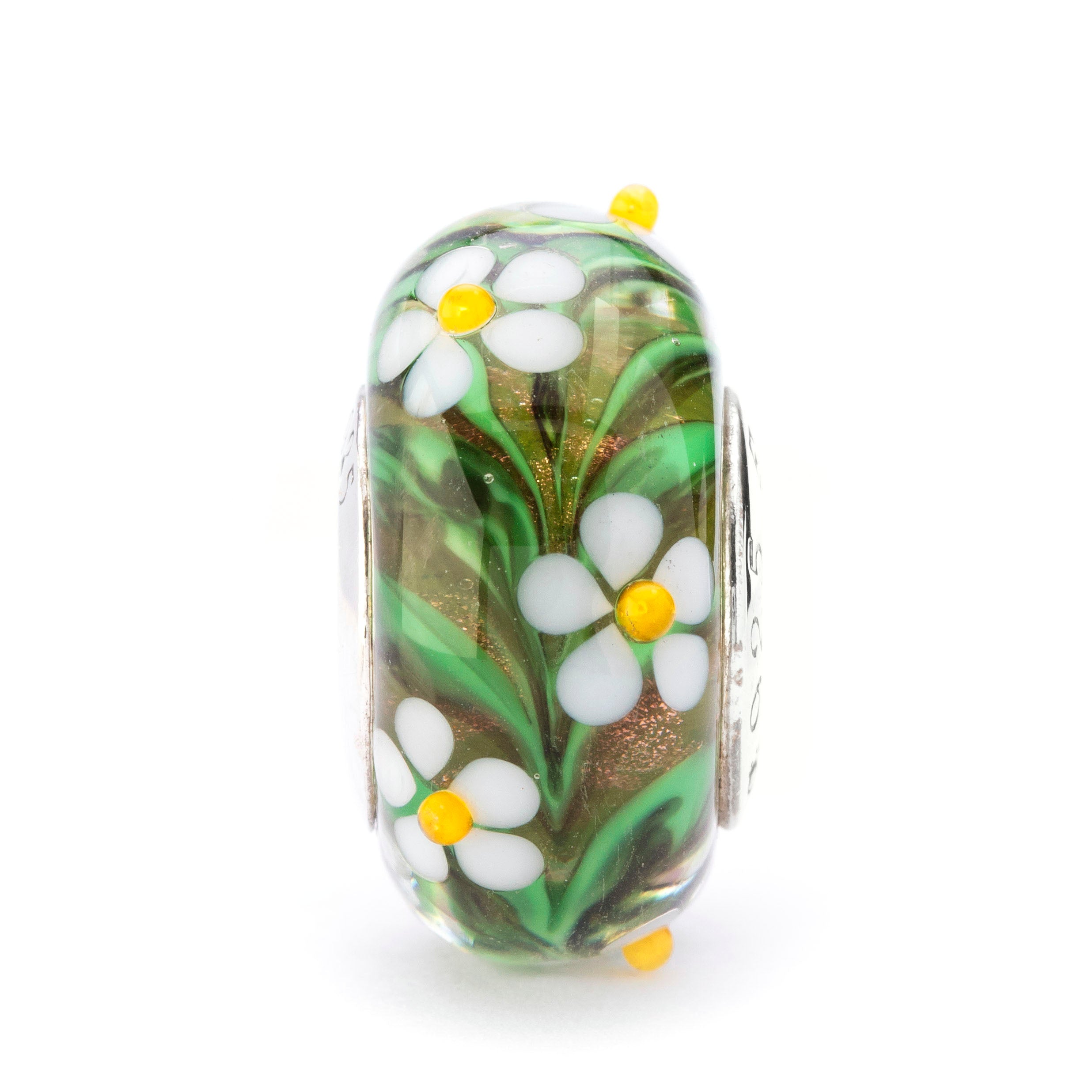 Sunny Meadow Daisies