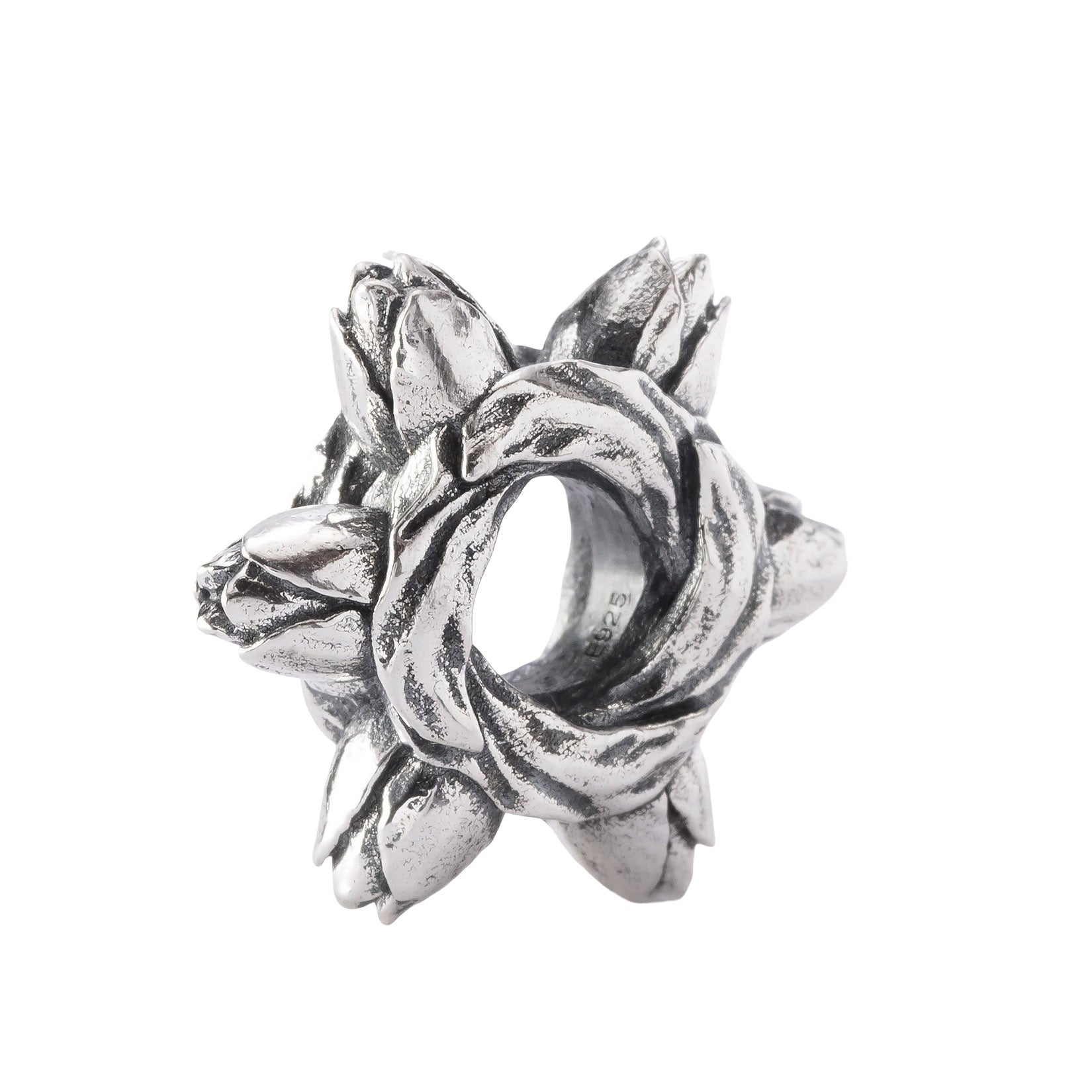 Tulip Embrace