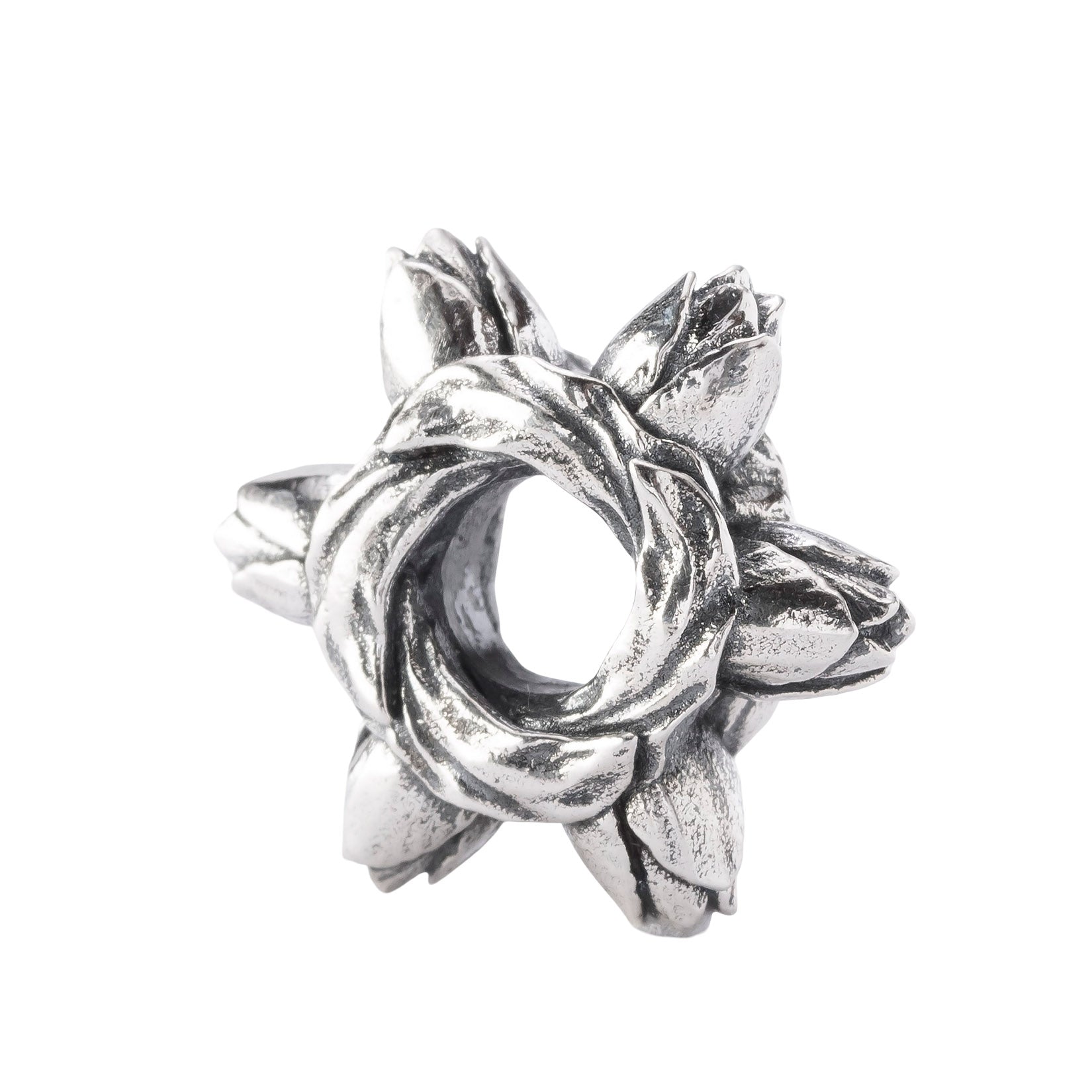 Tulip Embrace