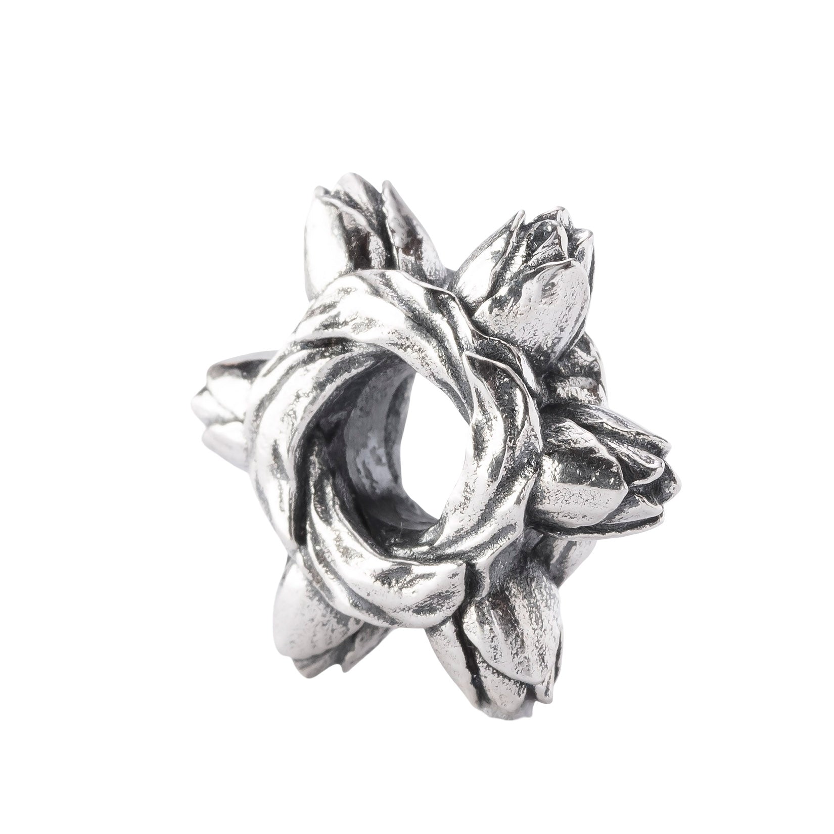 Tulip Embrace