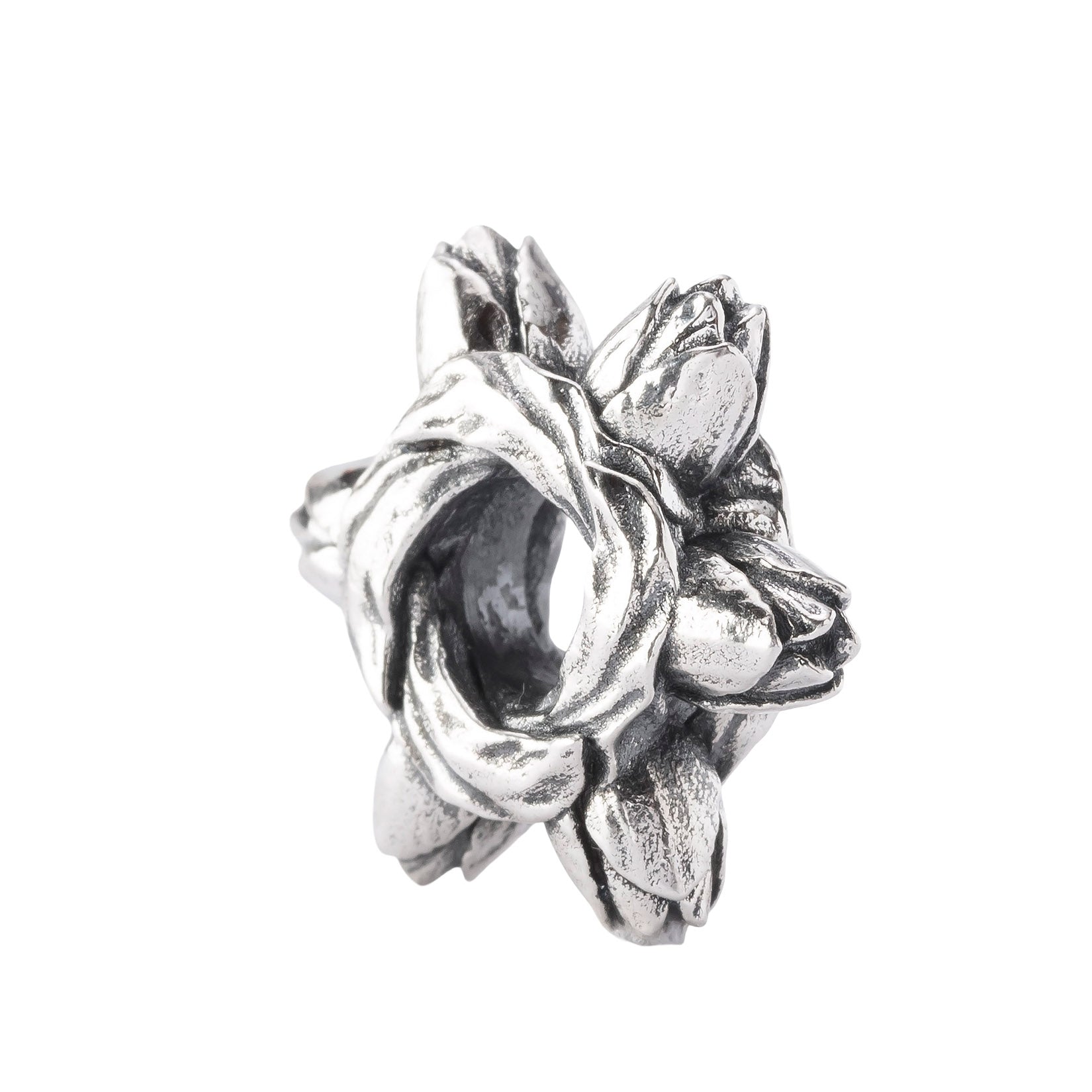 Tulip Embrace