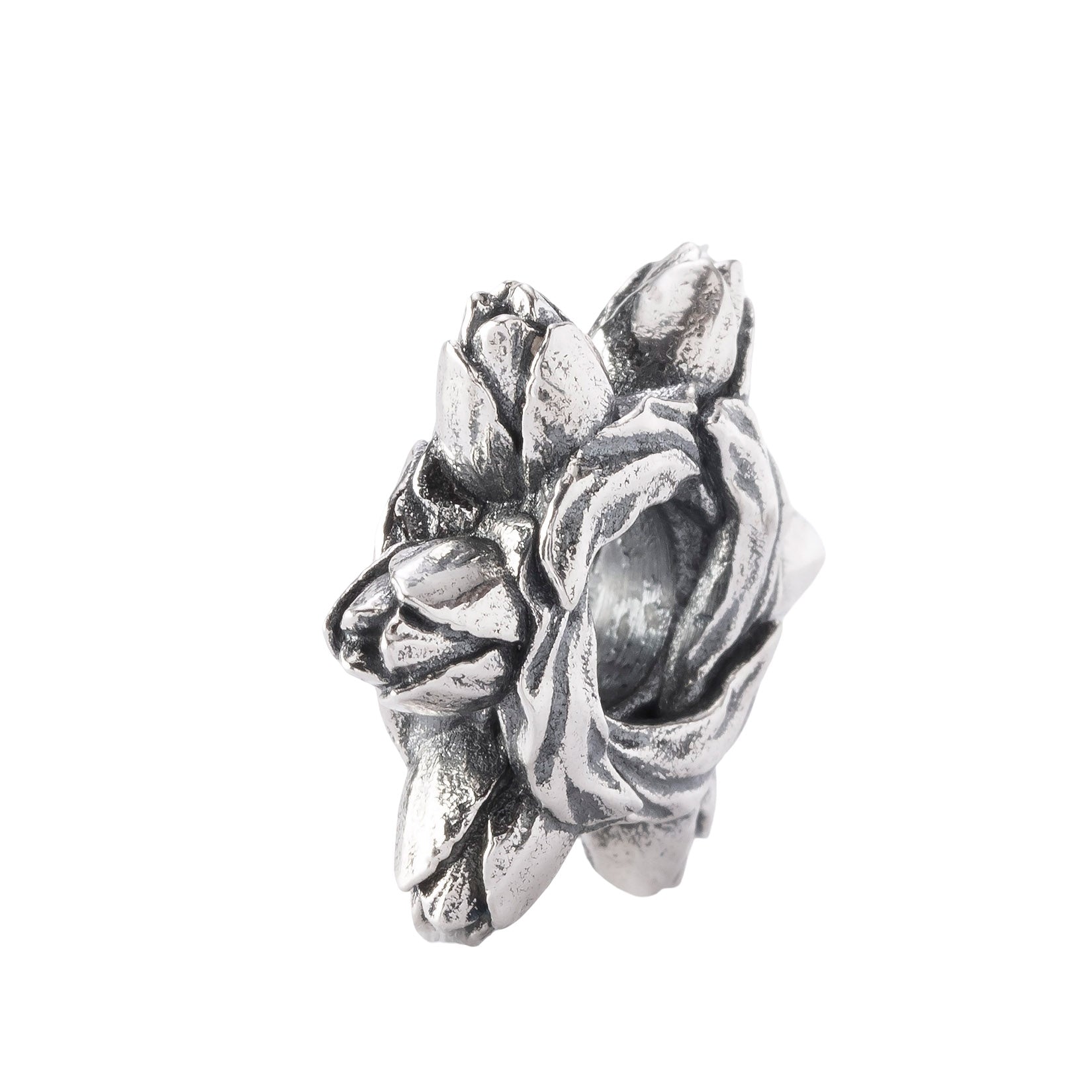 Tulip Embrace