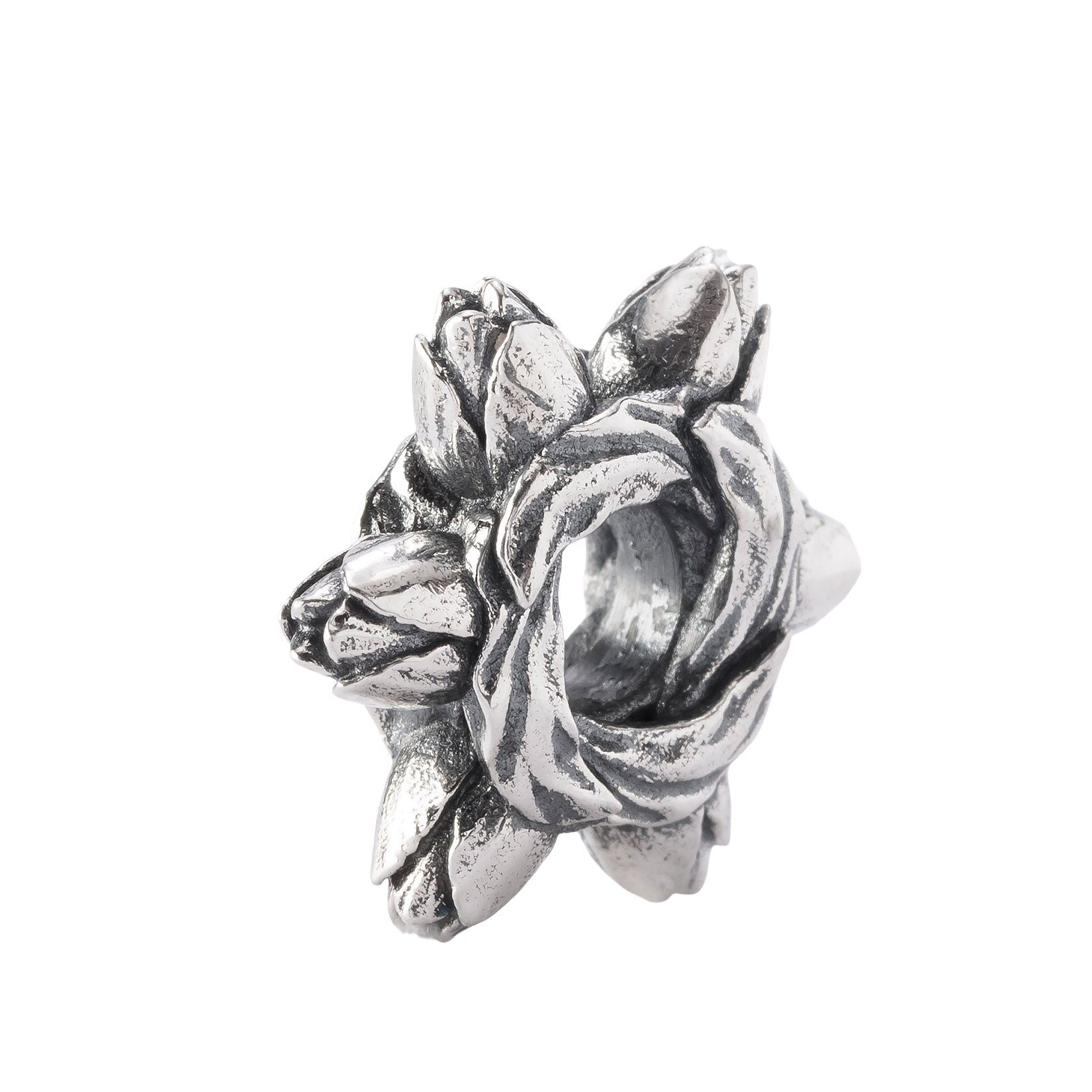 Tulip Embrace