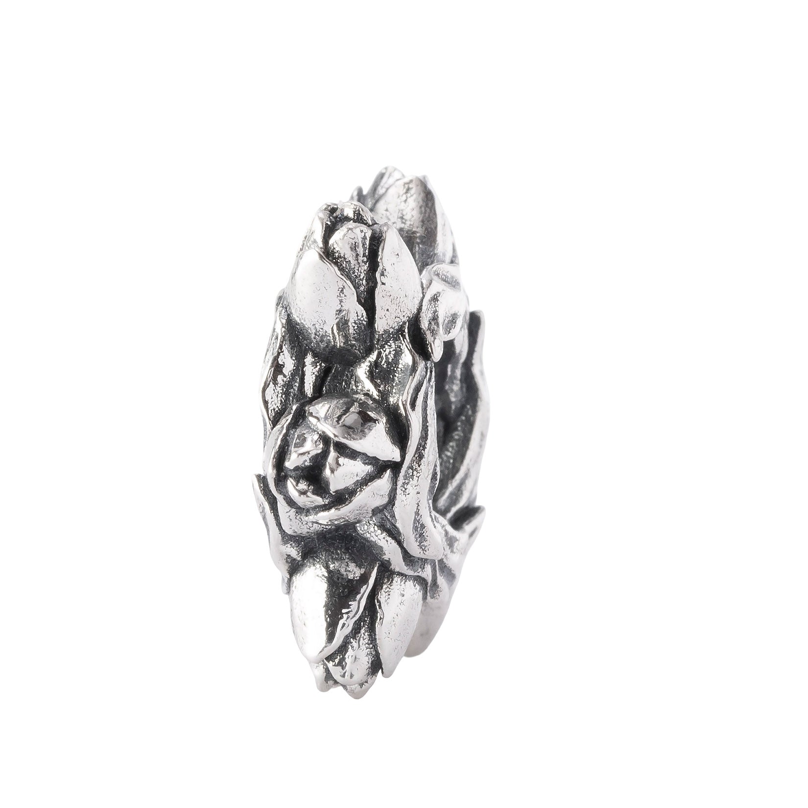 Tulip Embrace