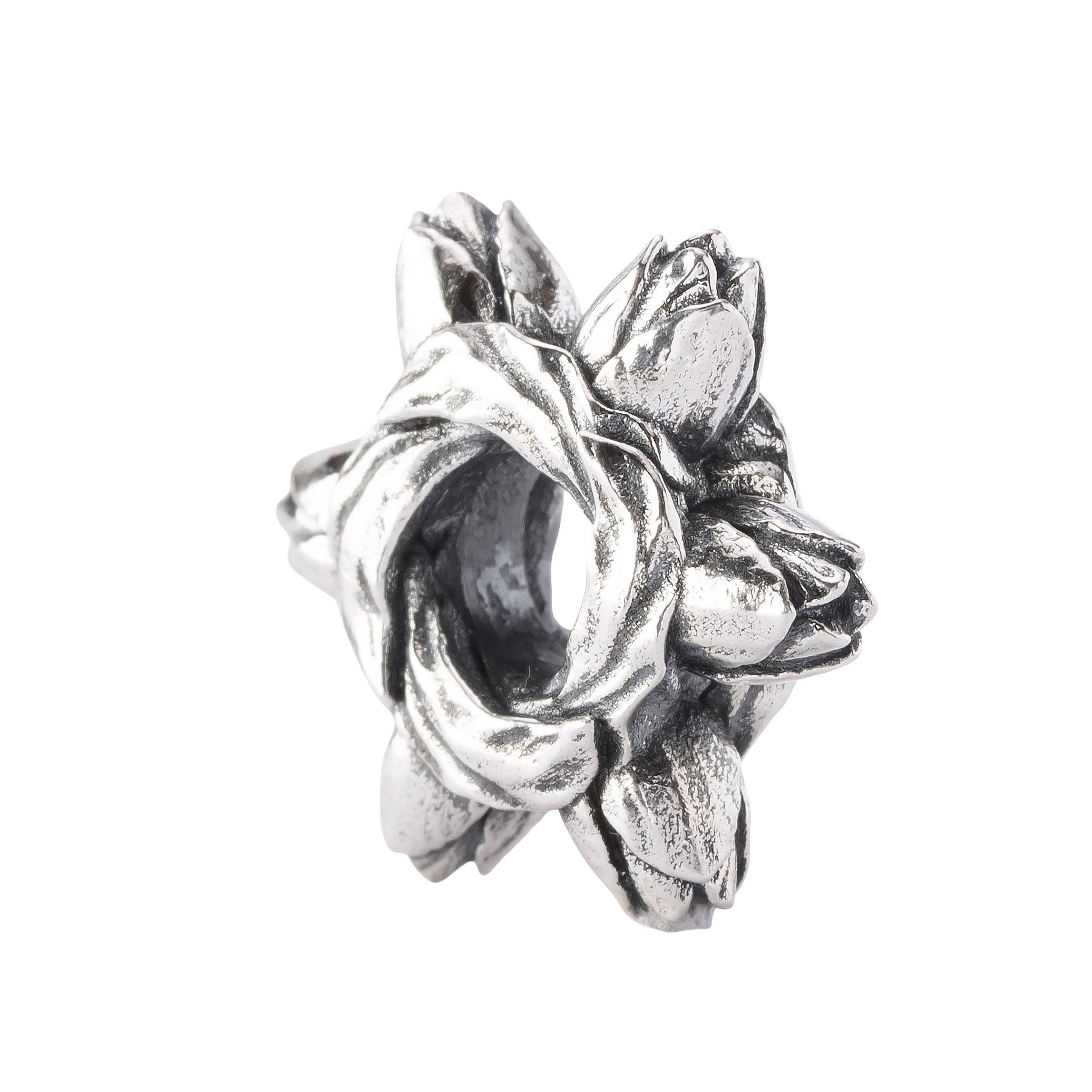 Tulip Embrace