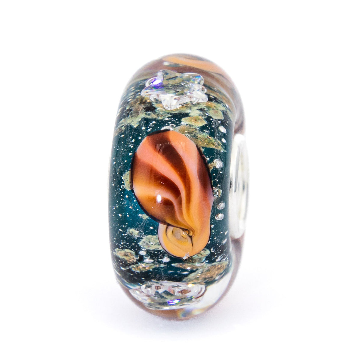 Ocean Seashell Shimmering