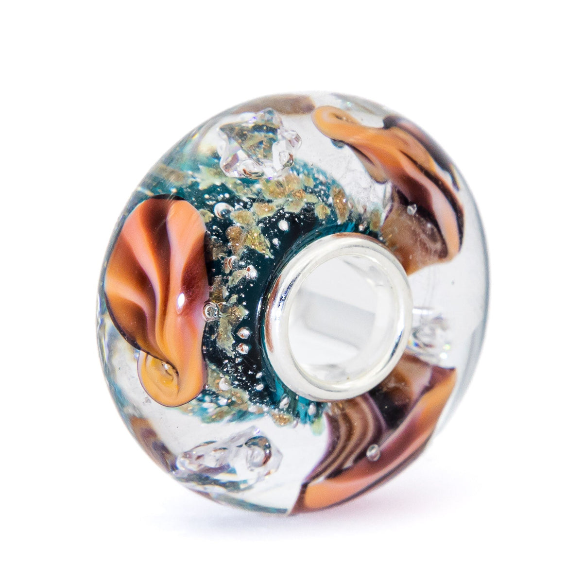 Ocean Seashell Shimmering