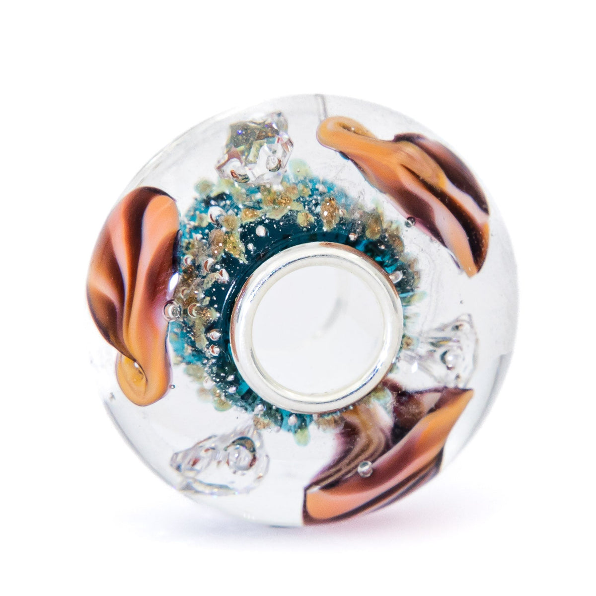 Ocean Seashell Shimmering