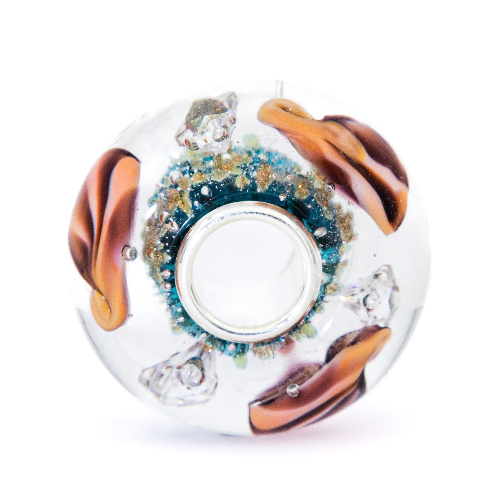 Ocean Seashell Shimmering