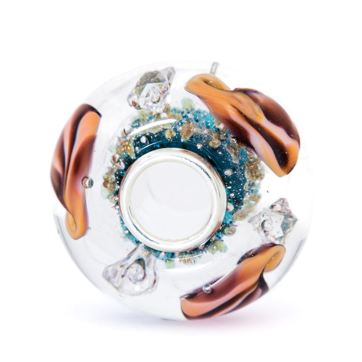 Ocean Seashell Shimmering