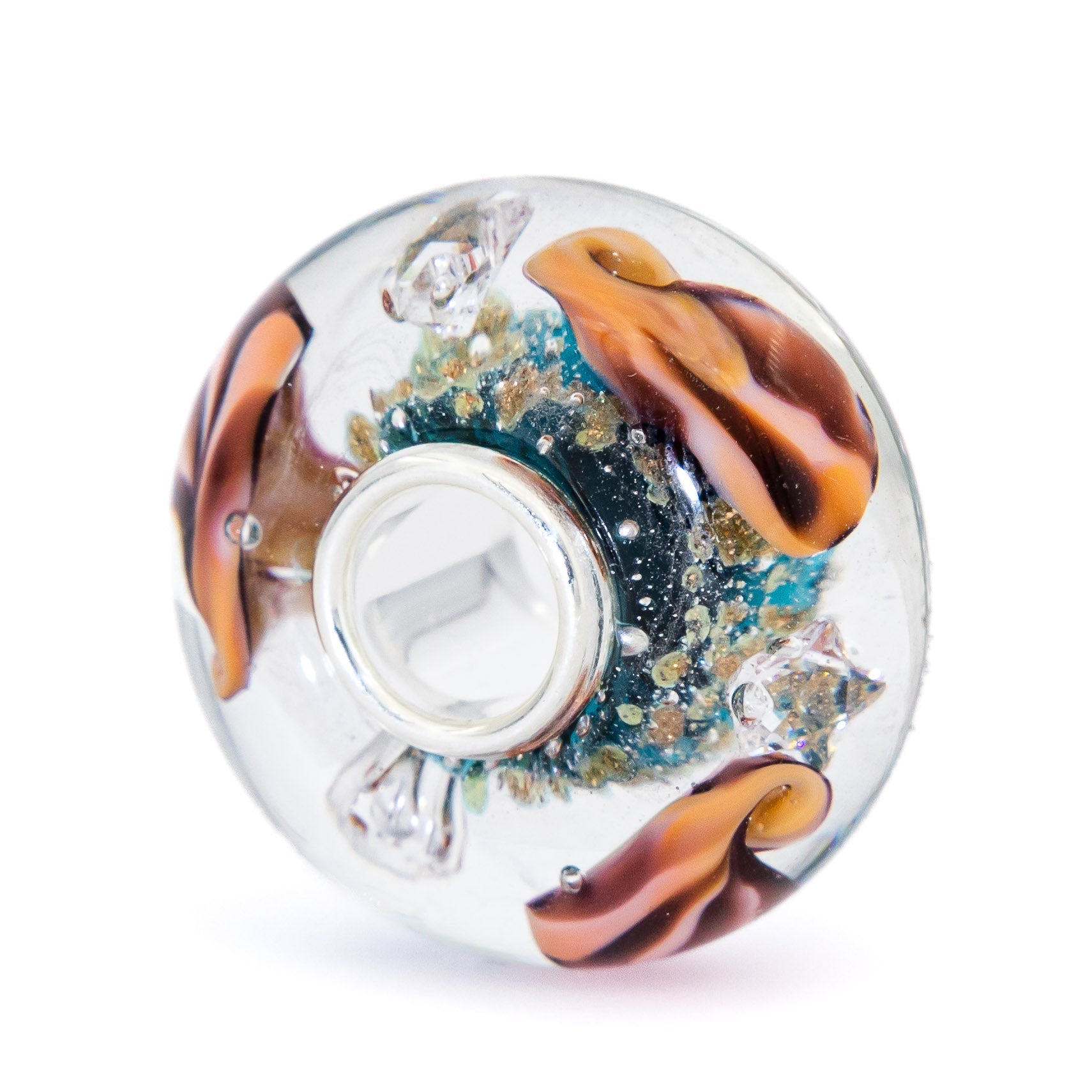 Ocean Seashell Shimmering