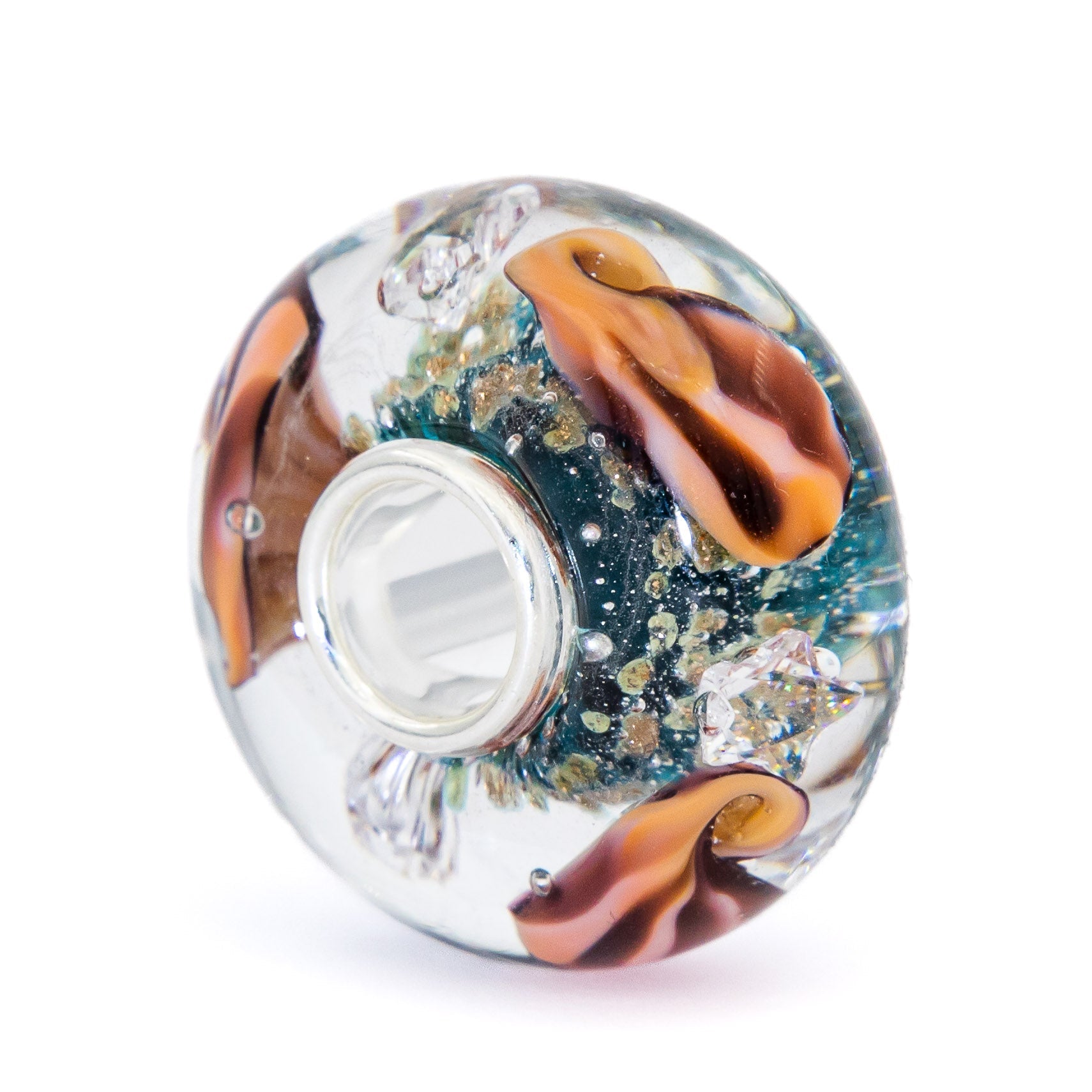Ocean Seashell Shimmering