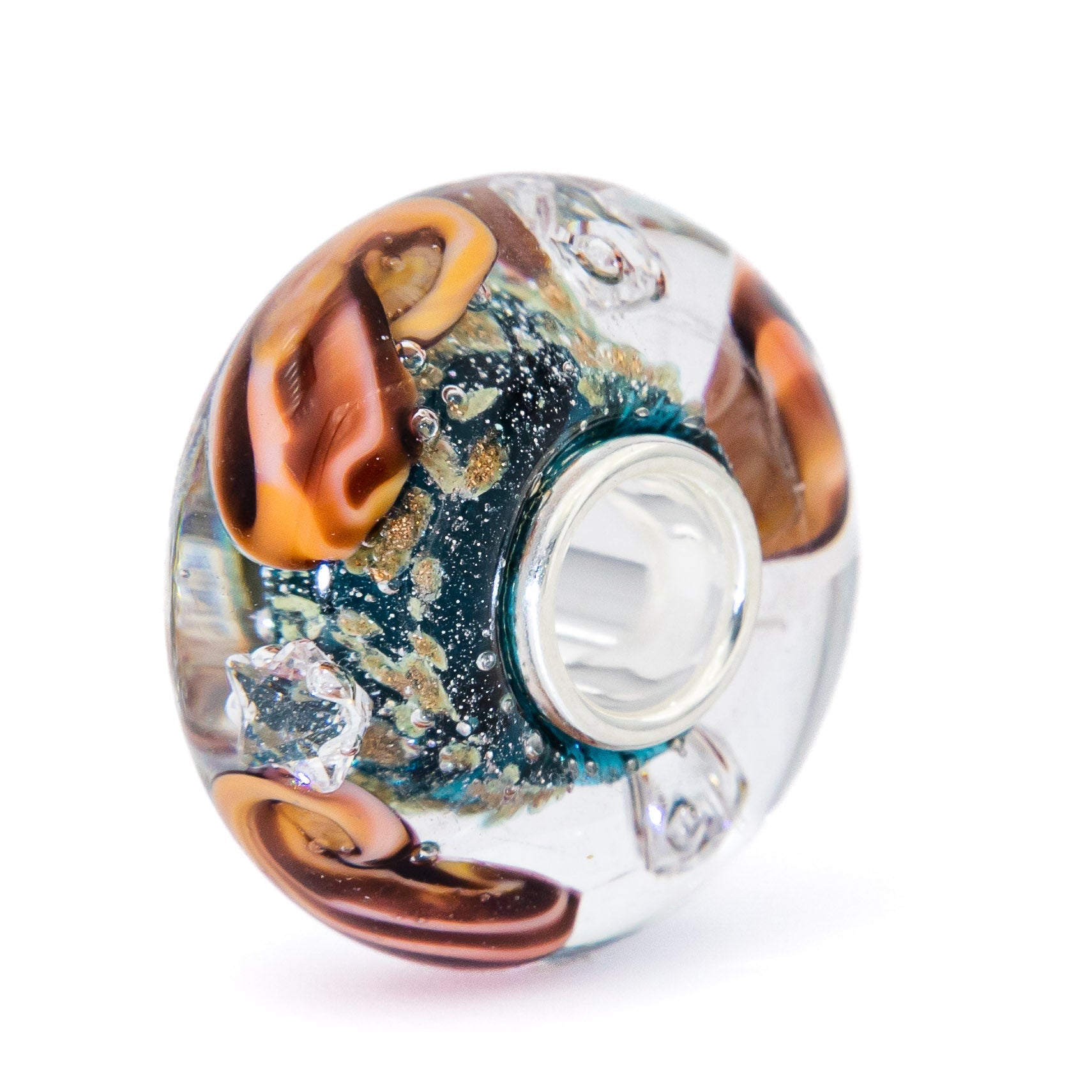 Ocean Seashell Shimmering