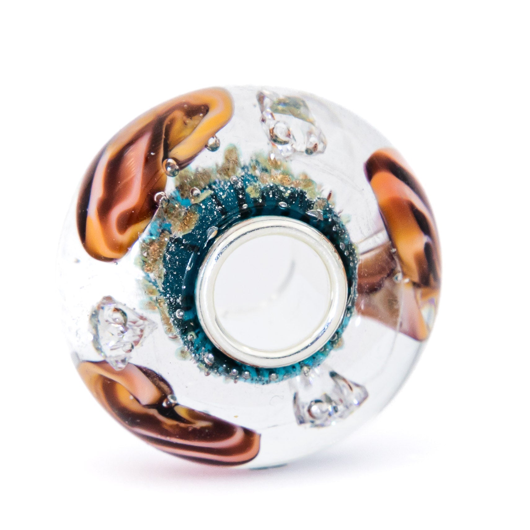 Ocean Seashell Shimmering