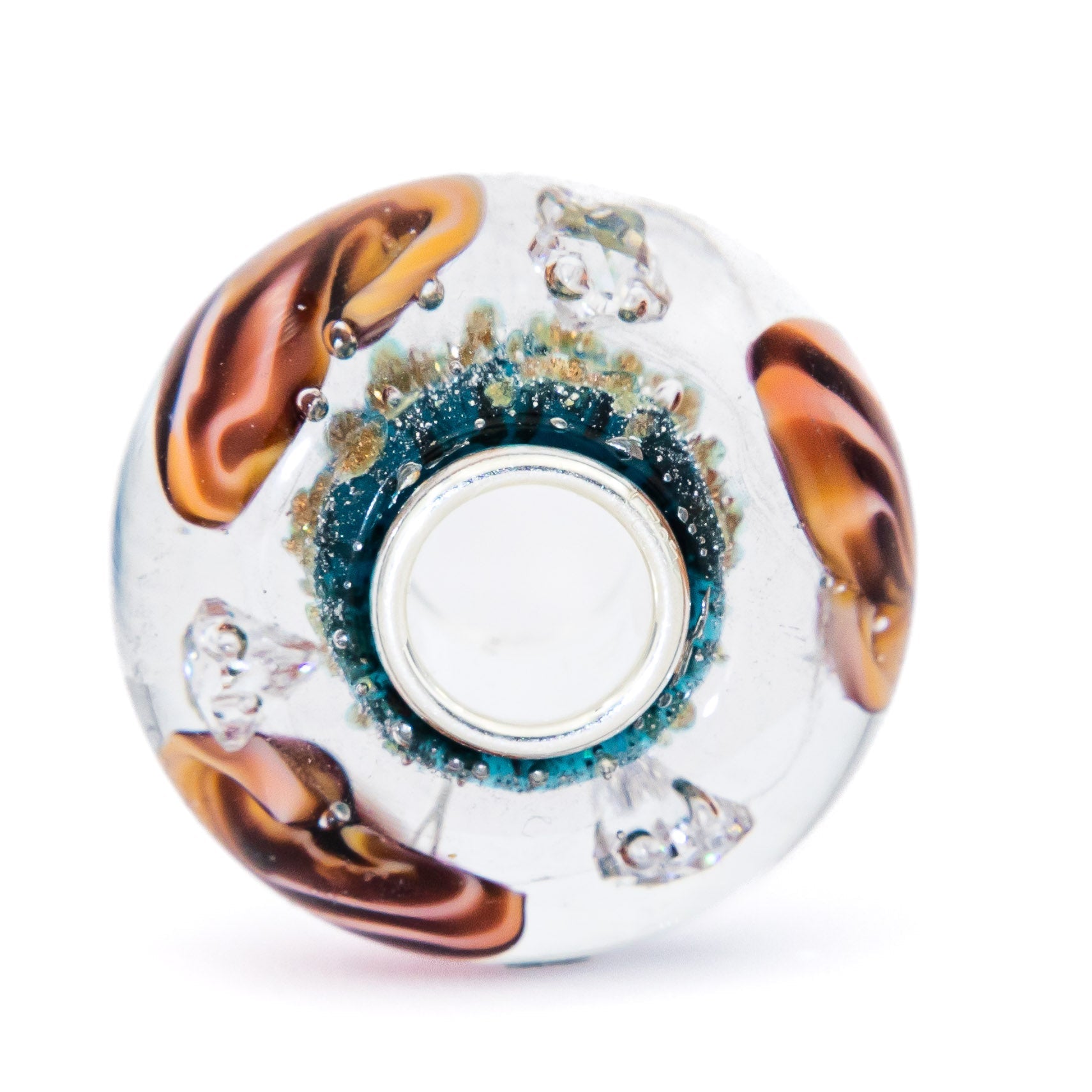 Ocean Seashell Shimmering