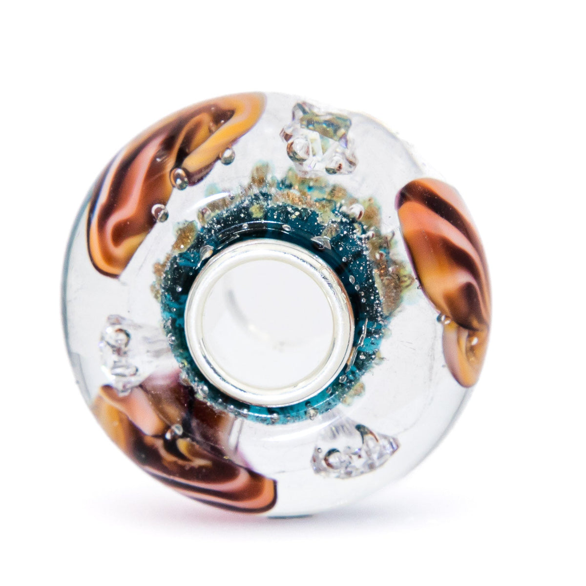 Ocean Seashell Shimmering