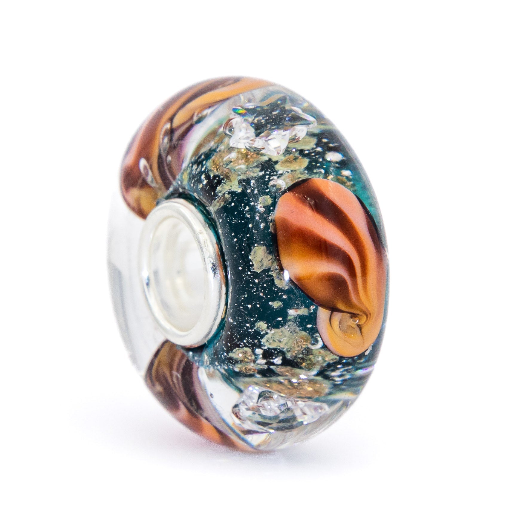 Ocean Seashell Shimmering