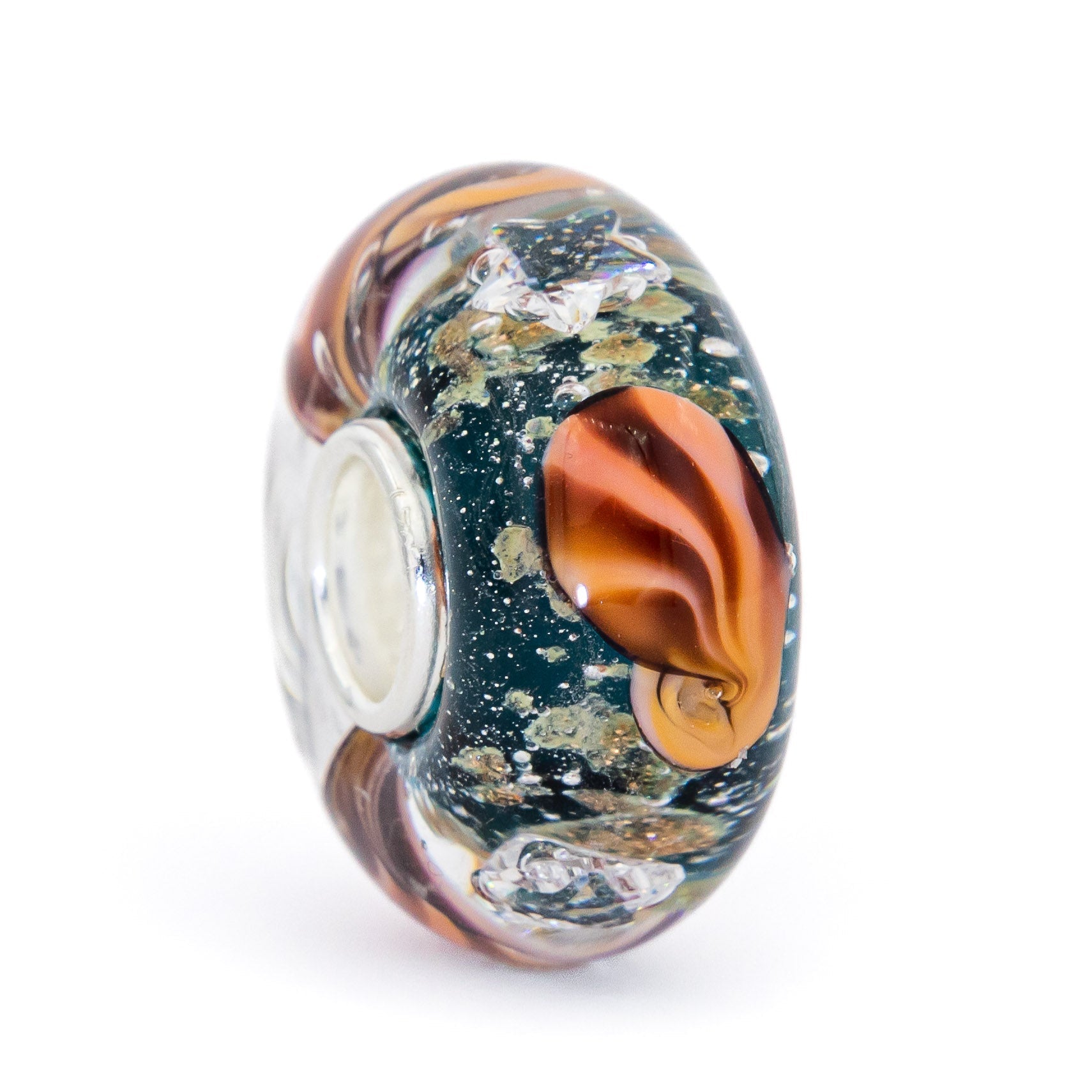 Ocean Seashell Shimmering