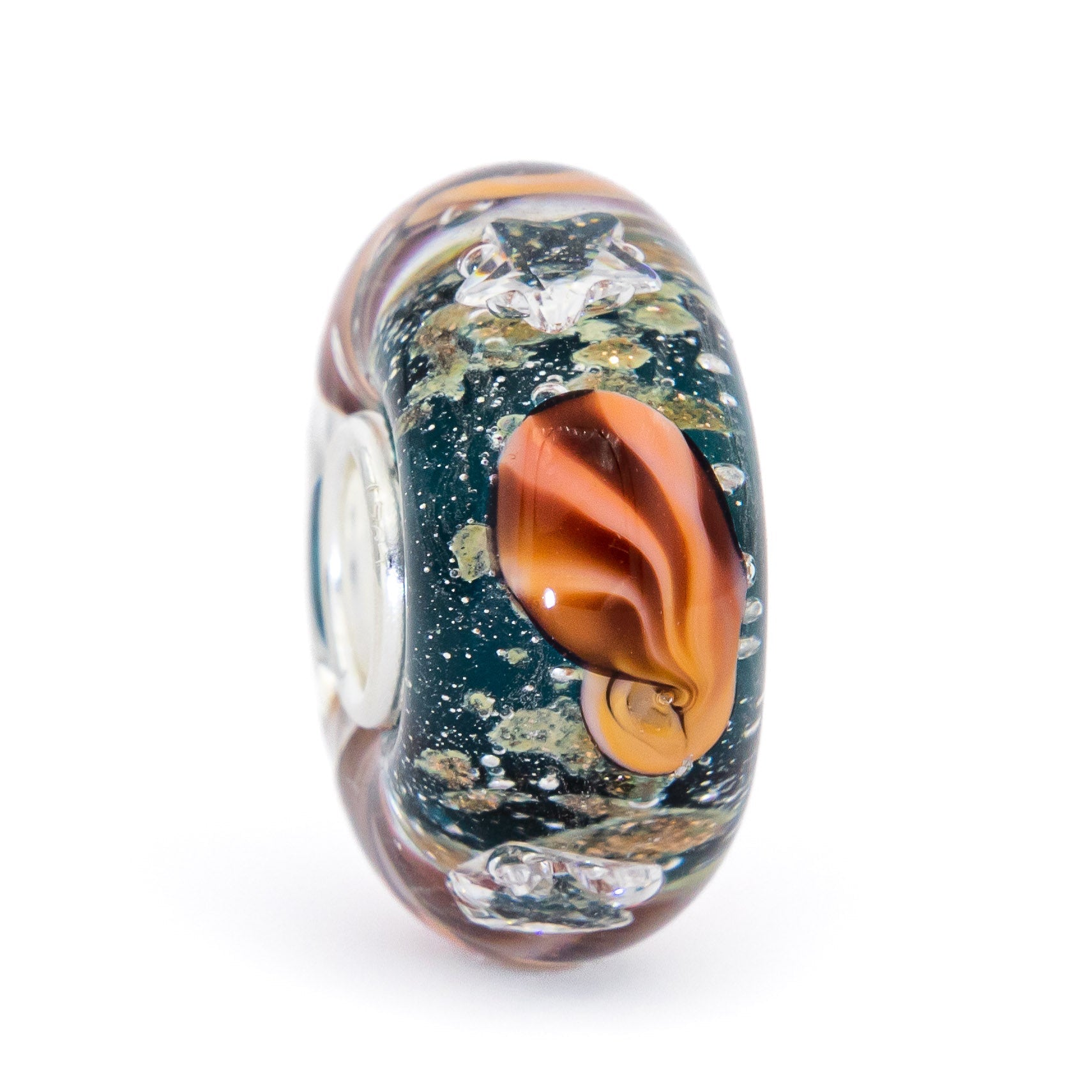 Ocean Seashell Shimmering