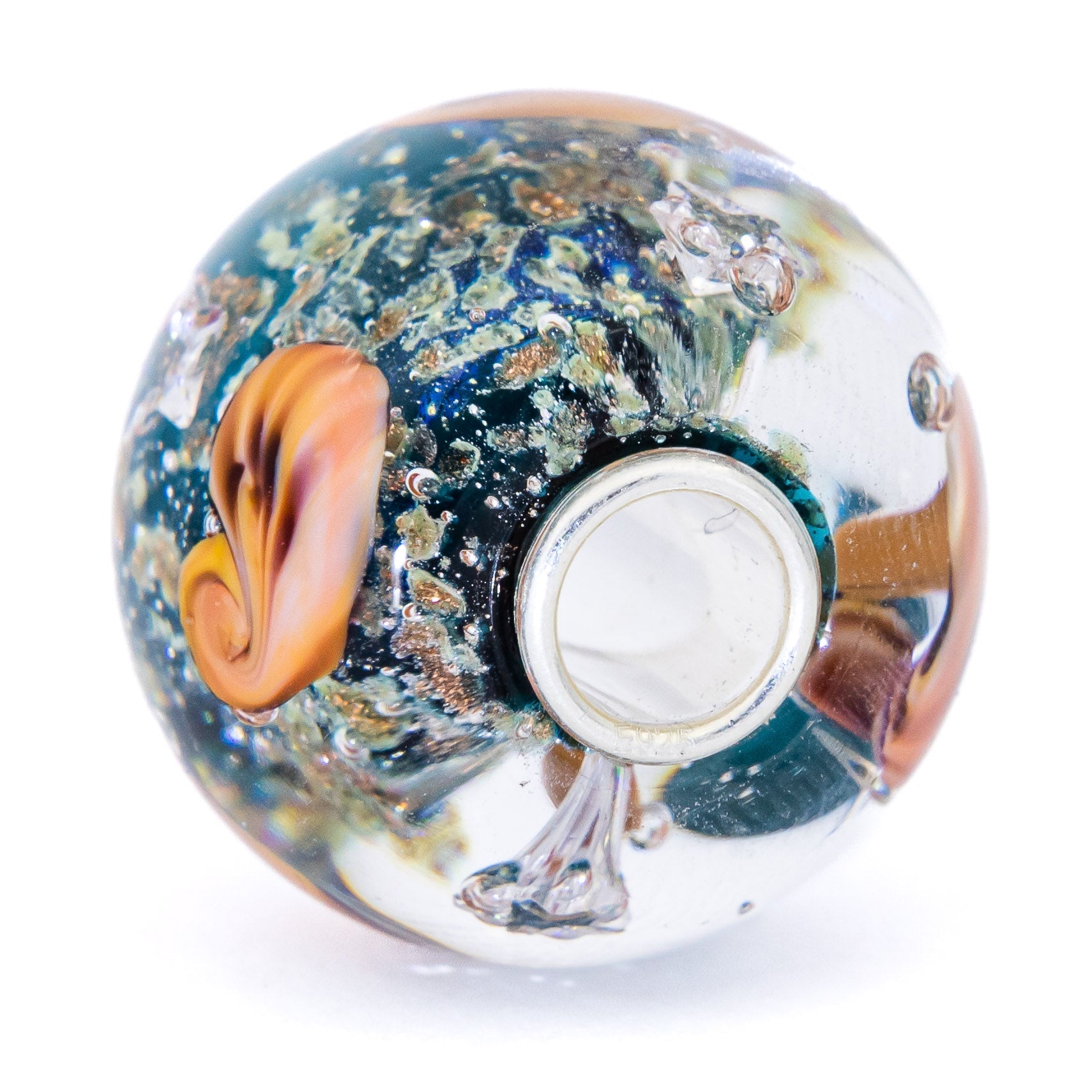 Ocean Seashell Shimmering World