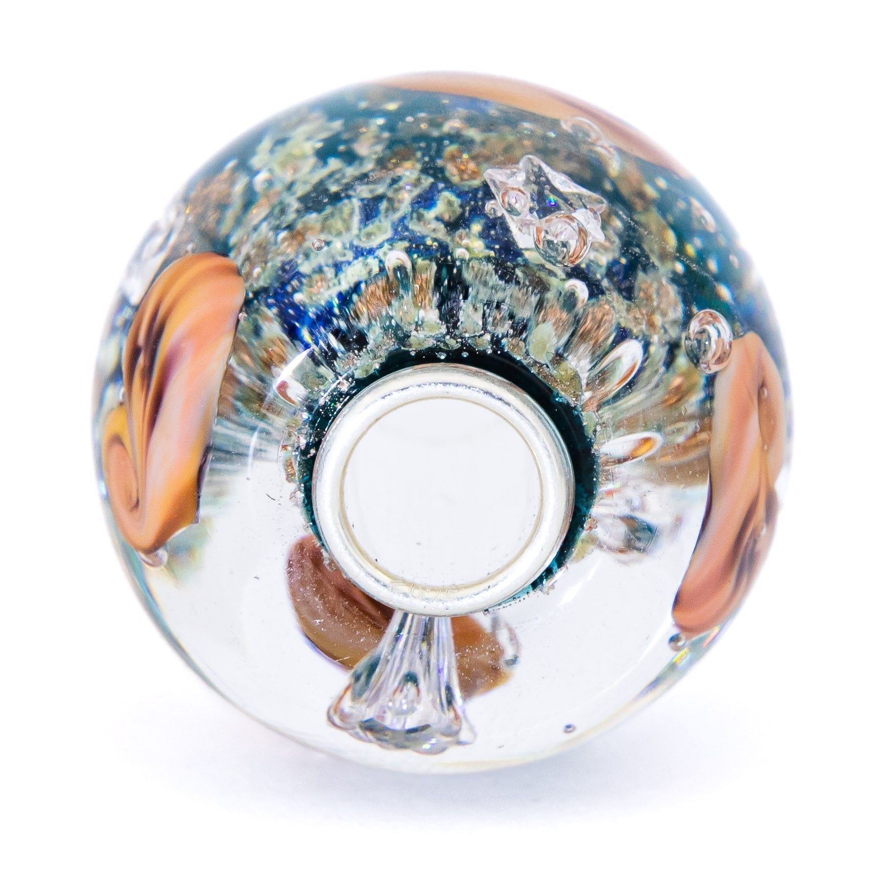 Ocean Seashell Shimmering World