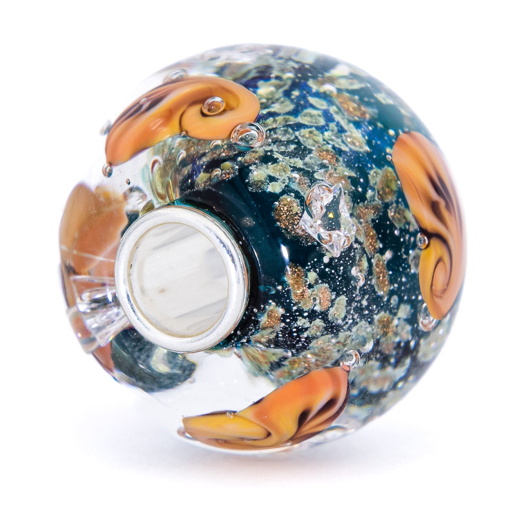 Ocean Seashell Shimmering World