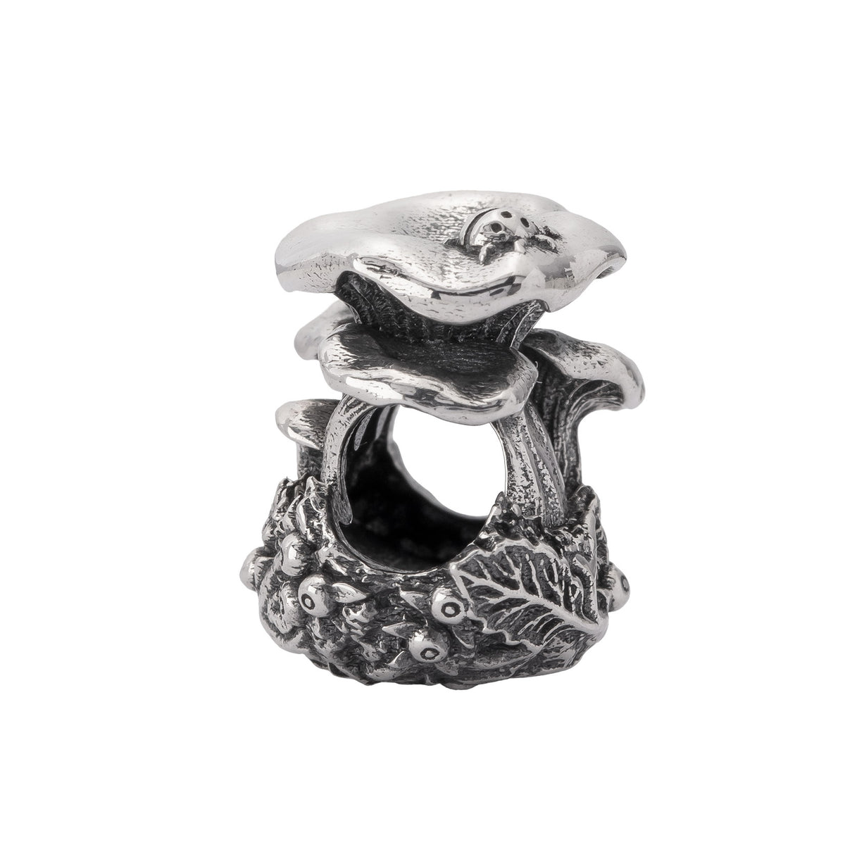 Chanterelle Family