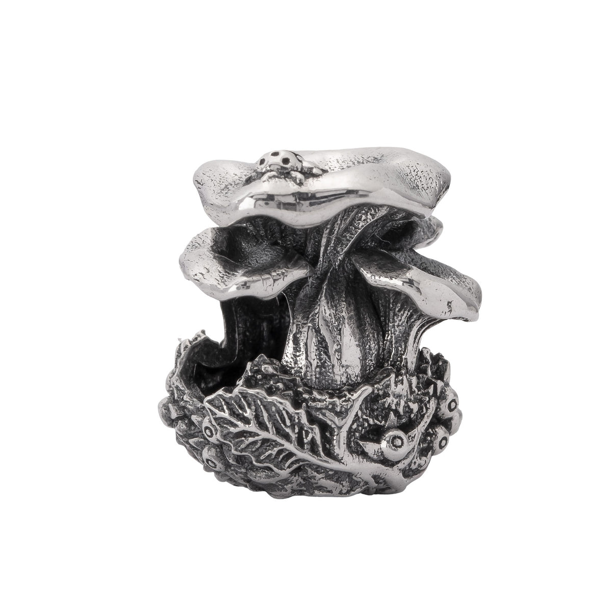 Chanterelle Family