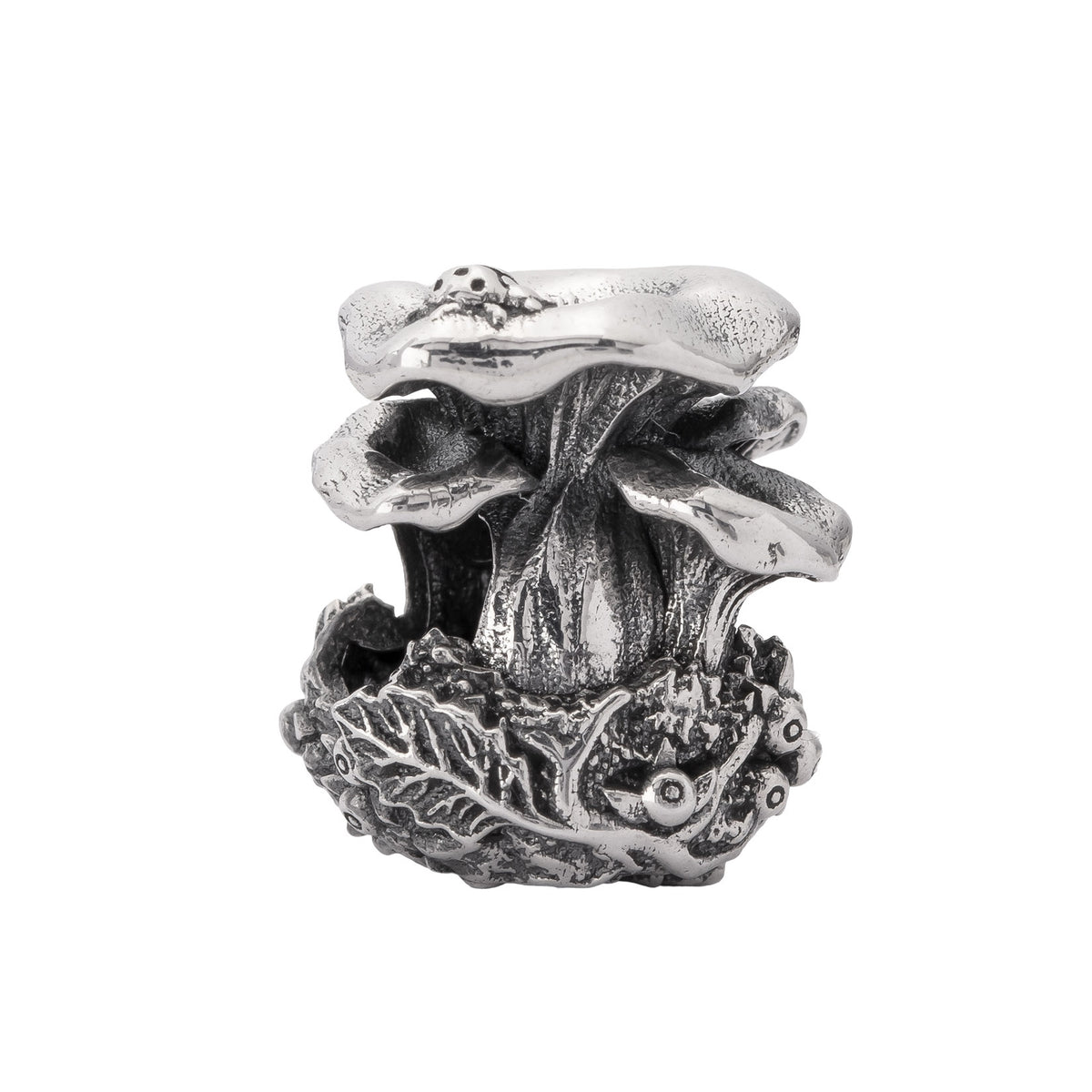 Chanterelle Family