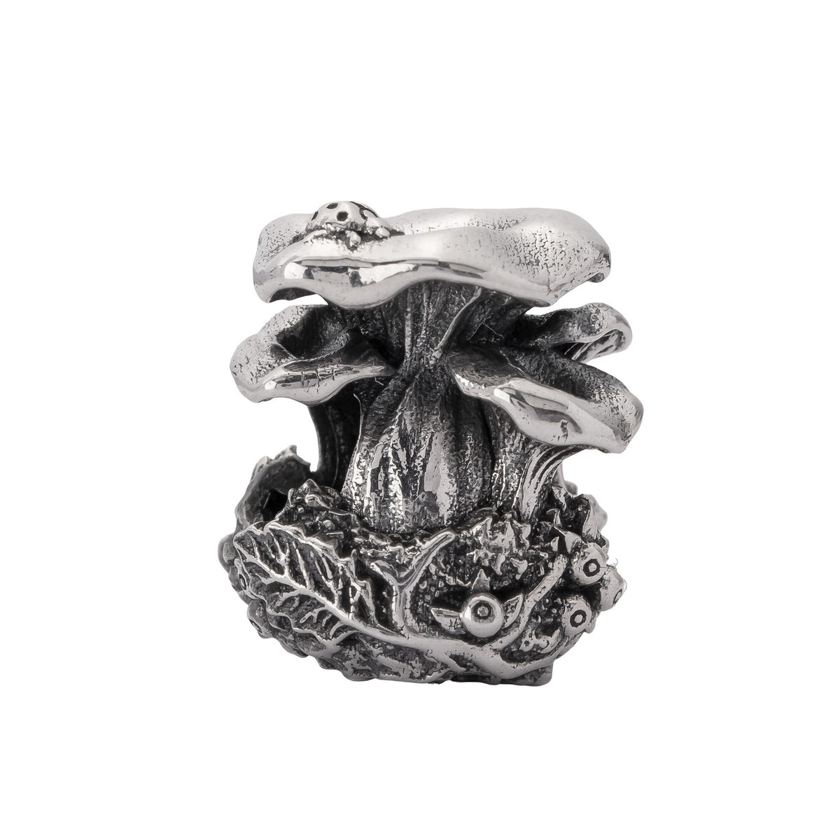 Chanterelle Family