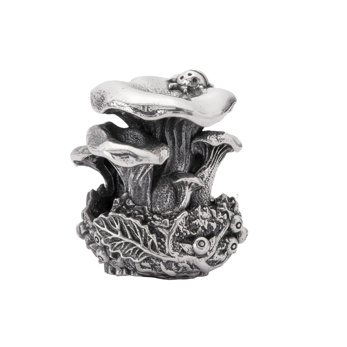 Chanterelle Family
