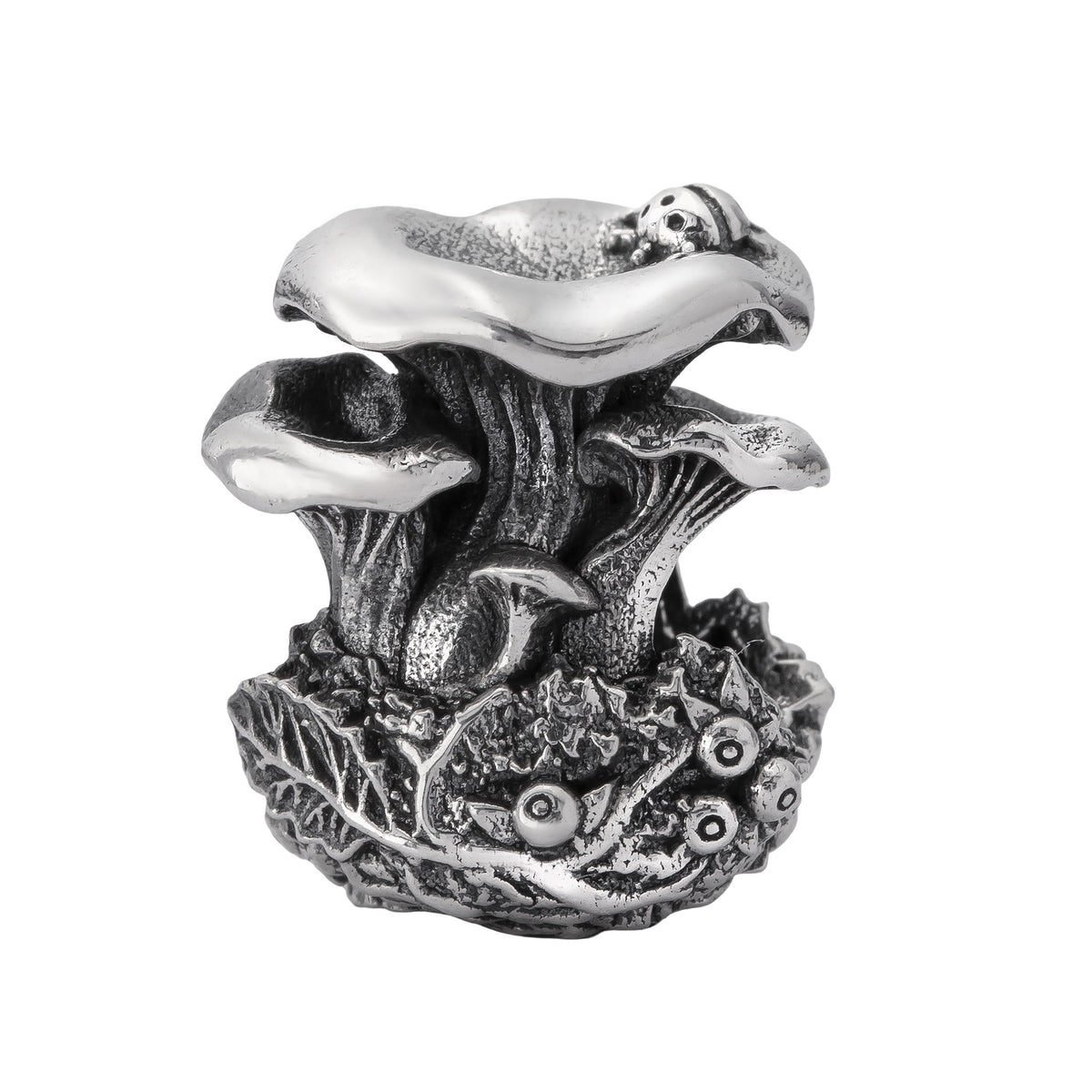 Chanterelle Family
