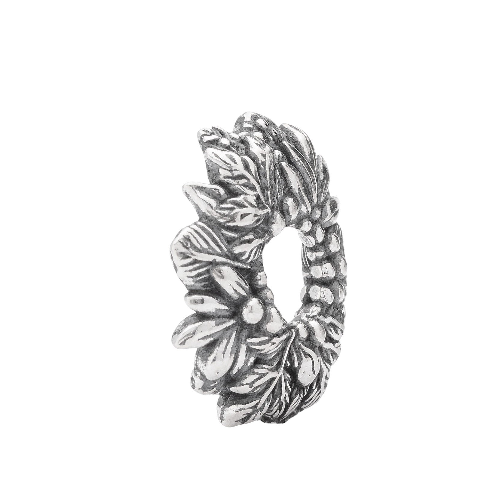 Hugged By The Forest