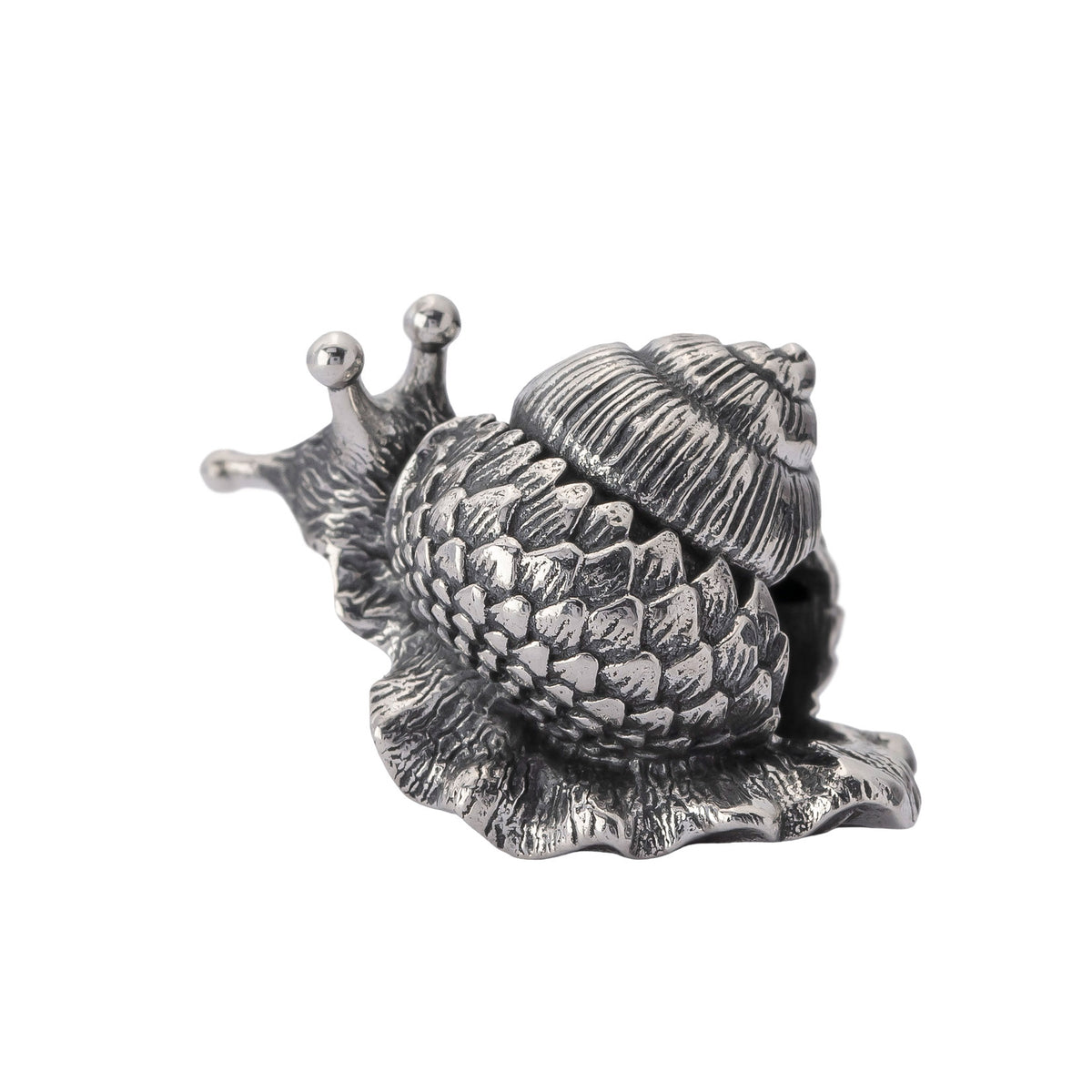 Oakleaf Snail