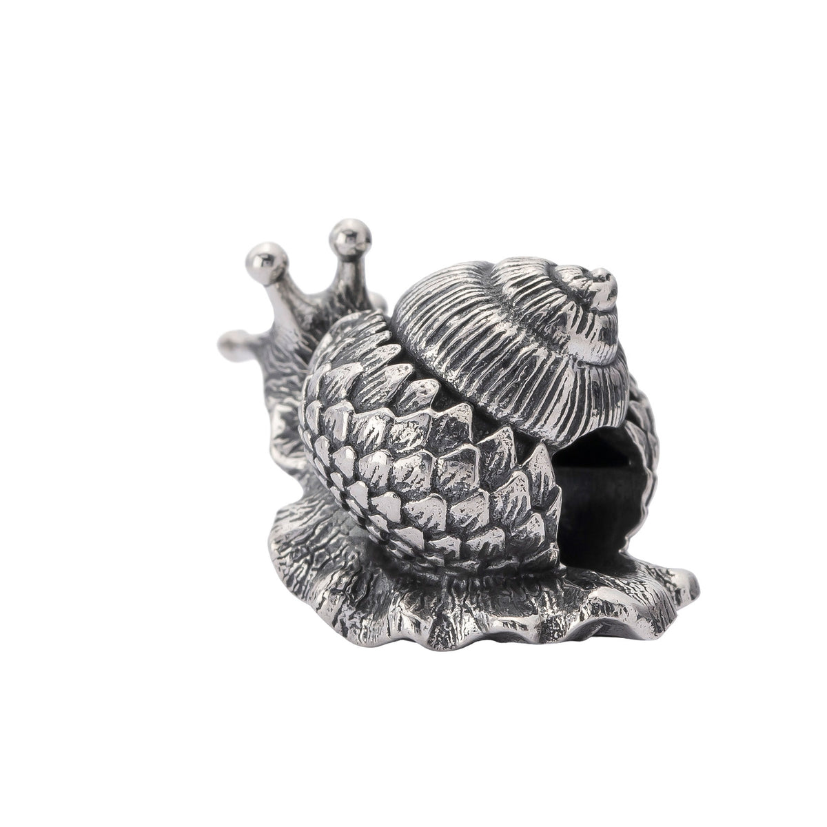Oakleaf Snail