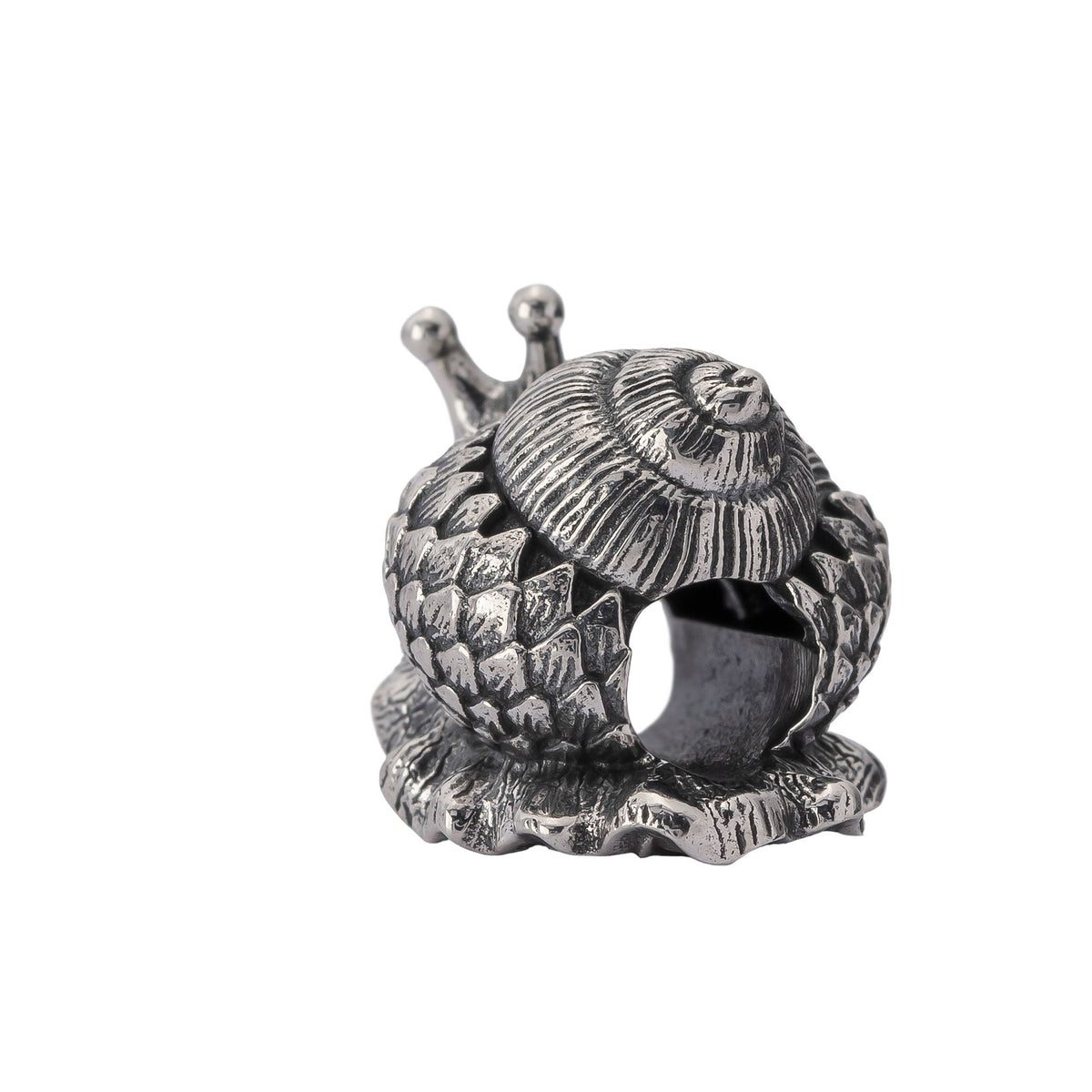 Oakleaf Snail