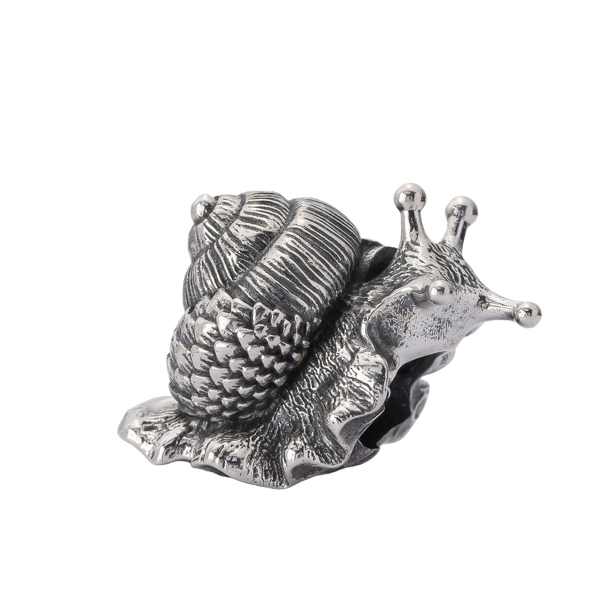 Oakleaf Snail