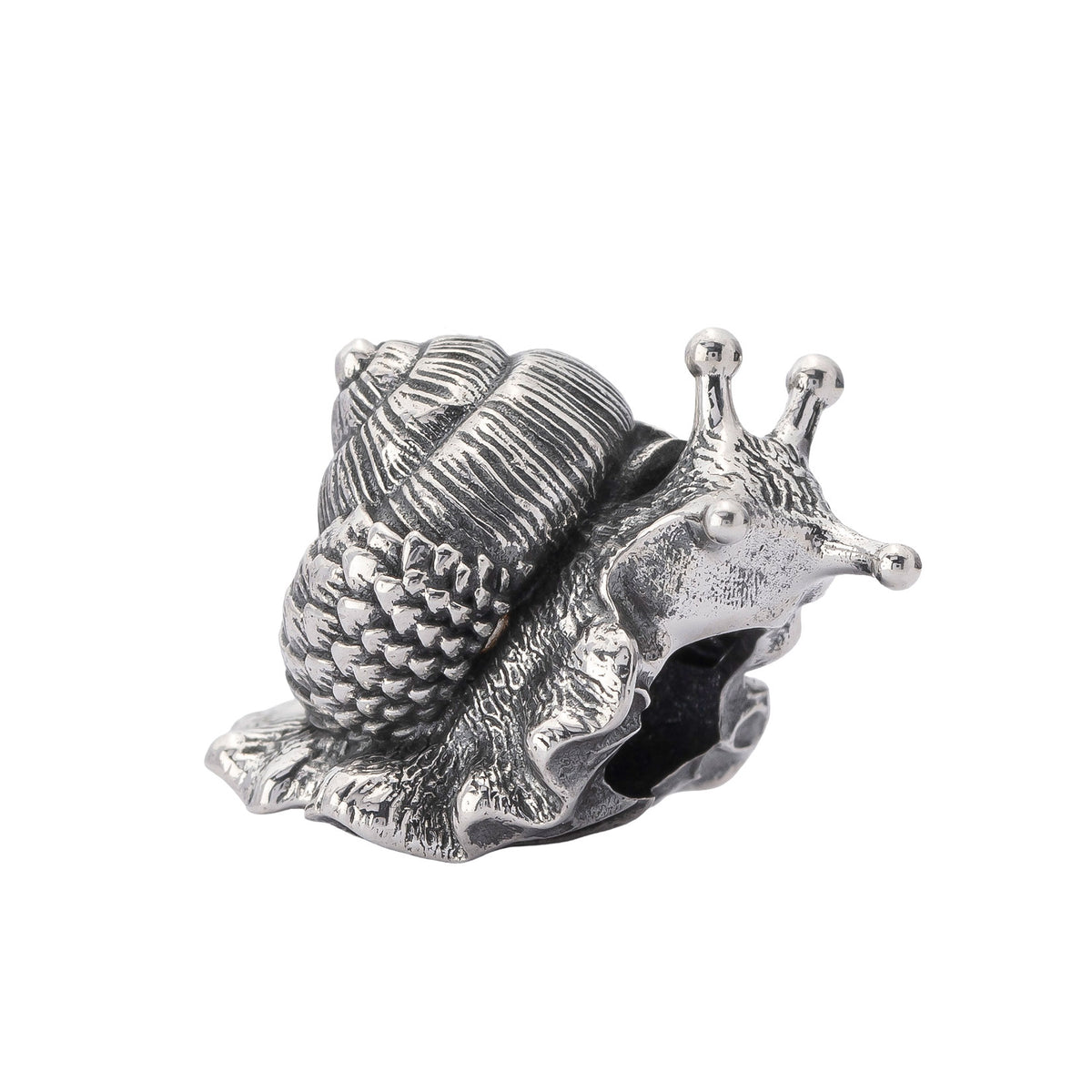 Oakleaf Snail