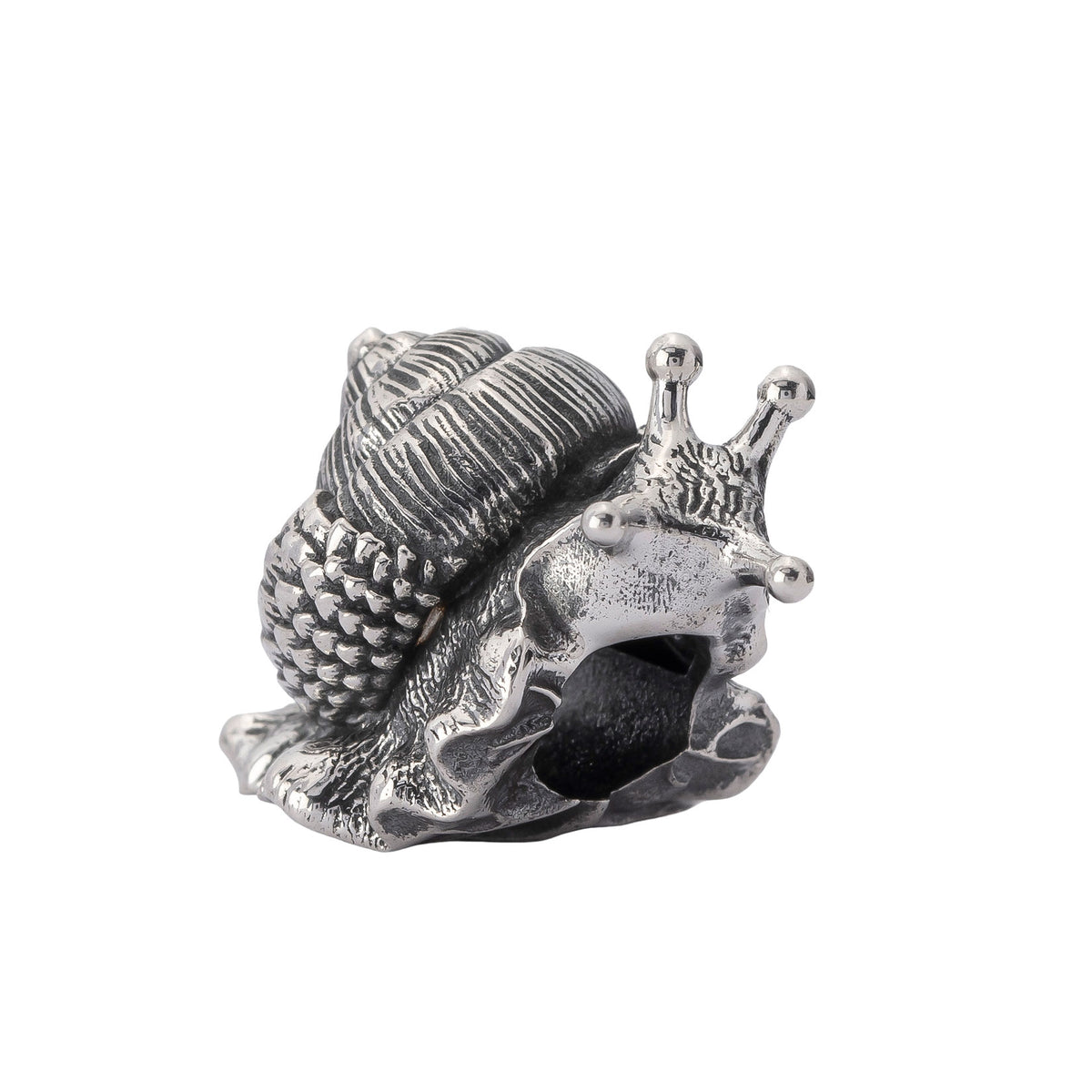 Oakleaf Snail