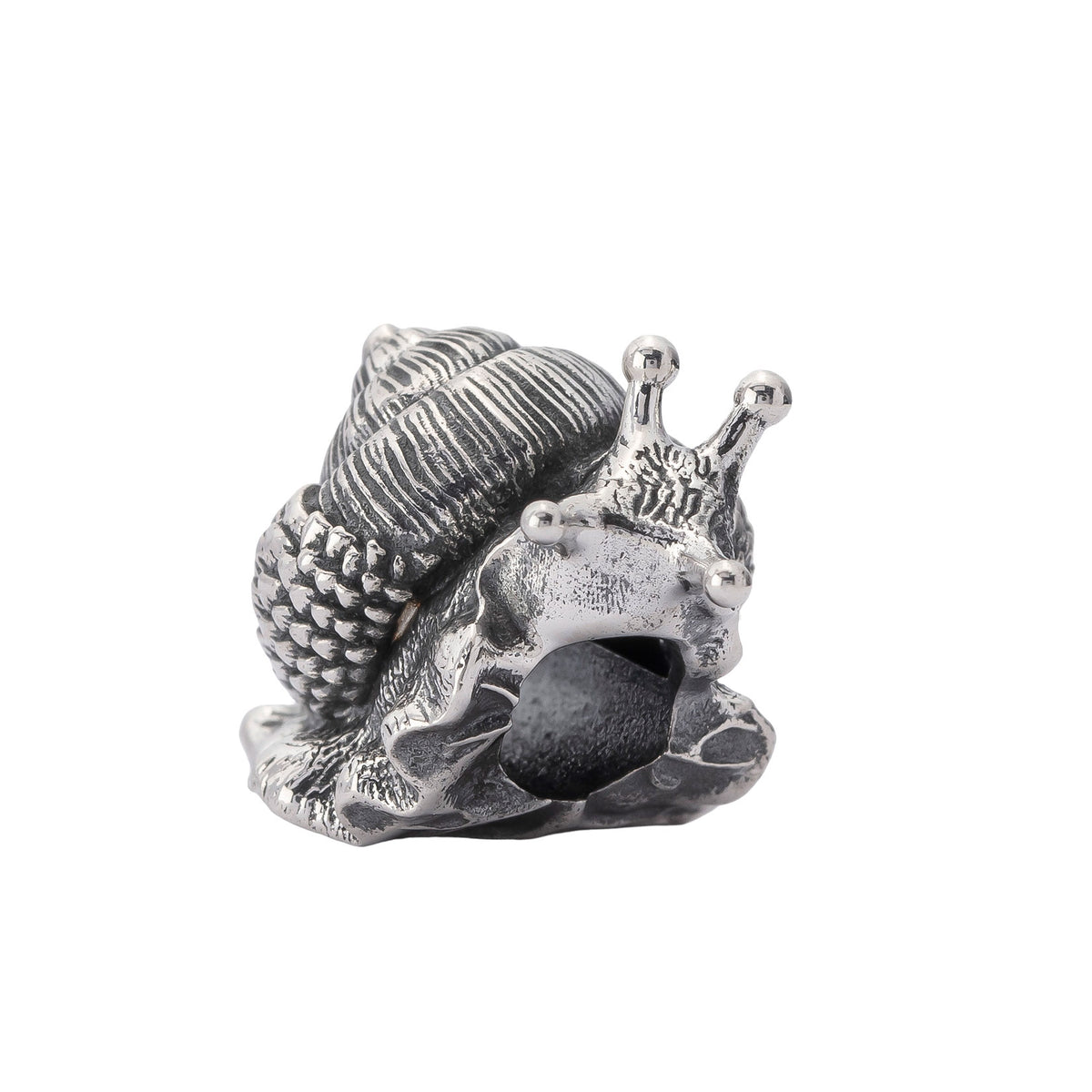 Oakleaf Snail