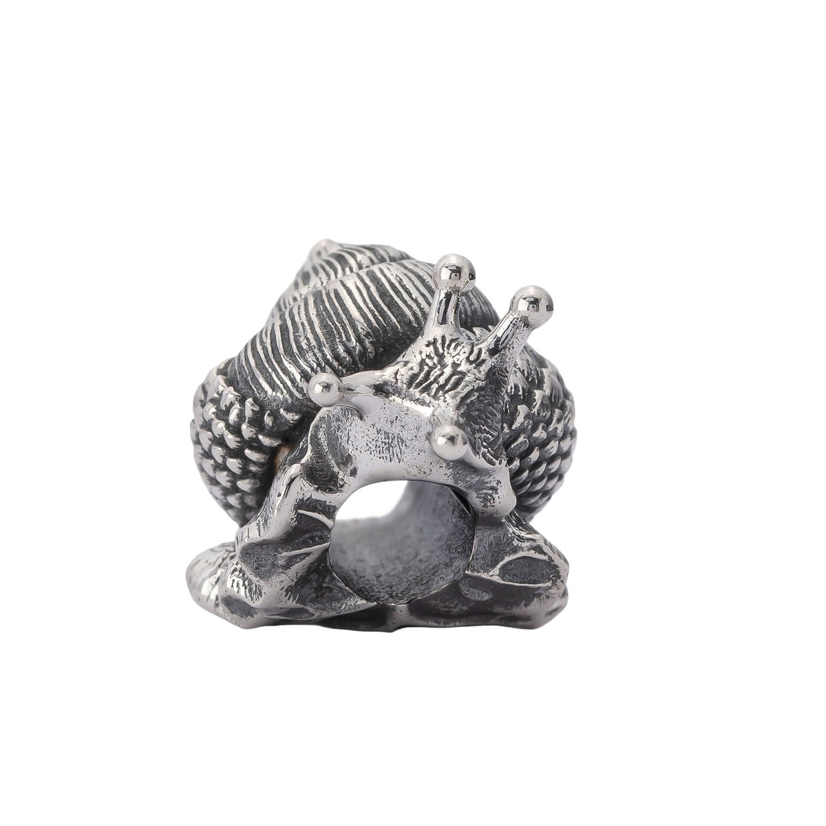 Oakleaf Snail