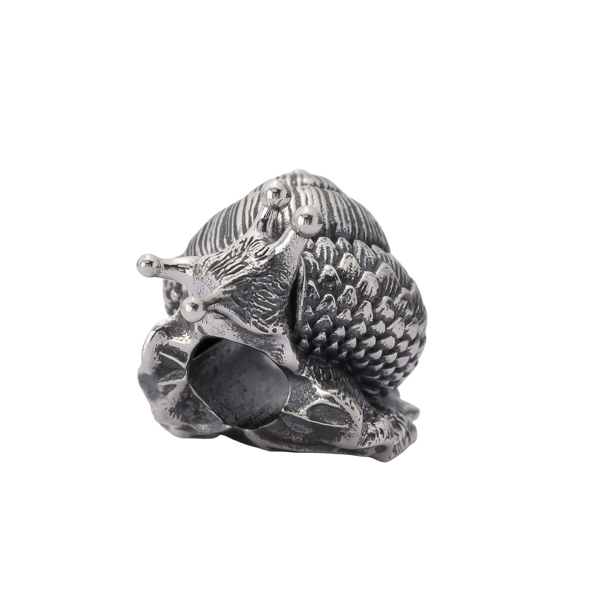 Oakleaf Snail