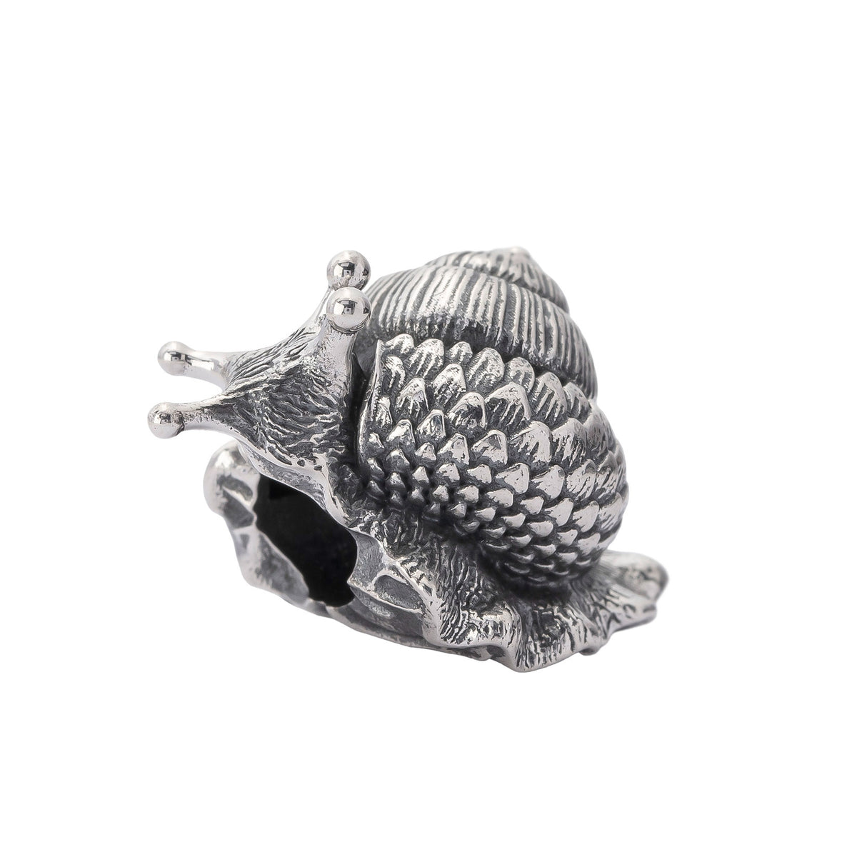 Oakleaf Snail