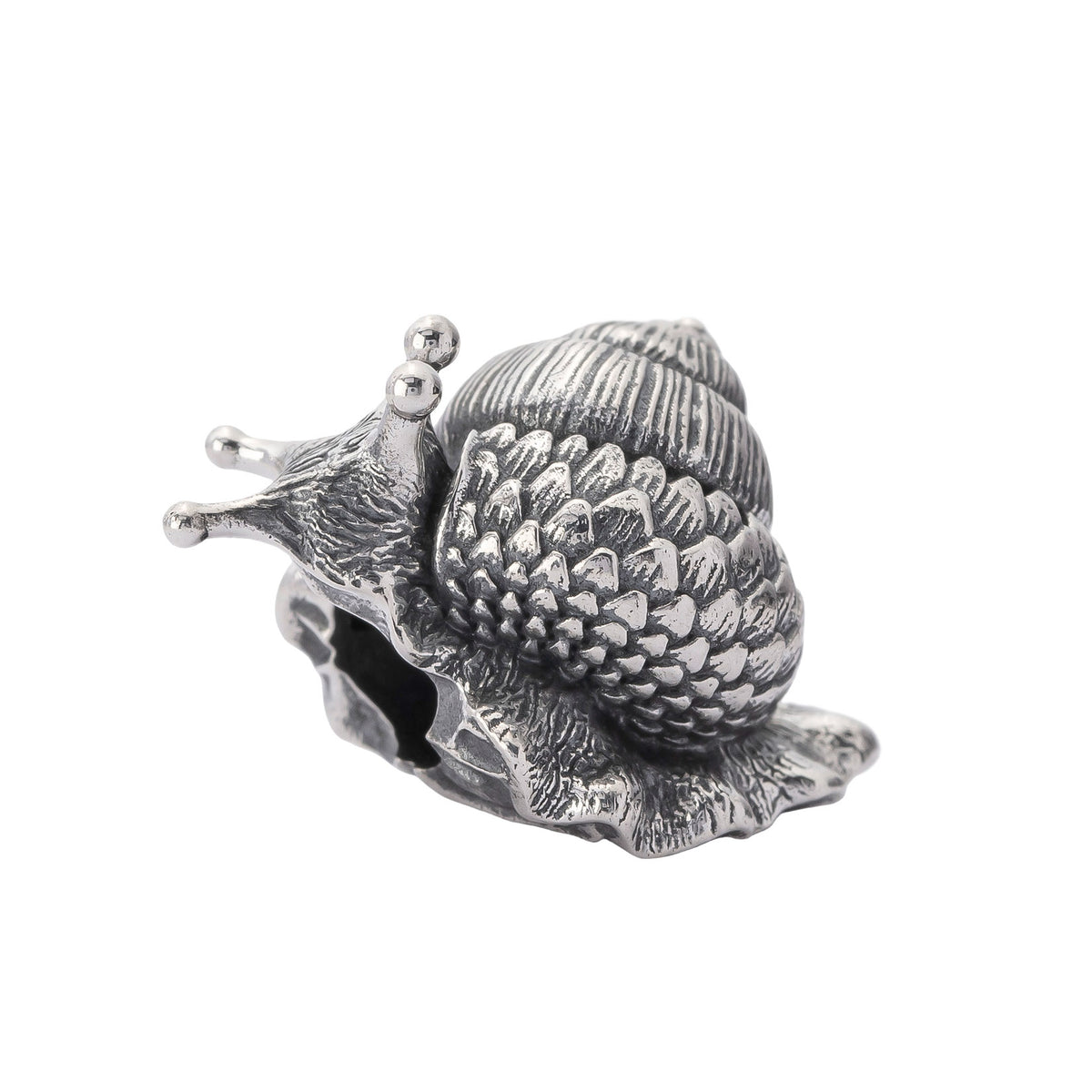 Oakleaf Snail
