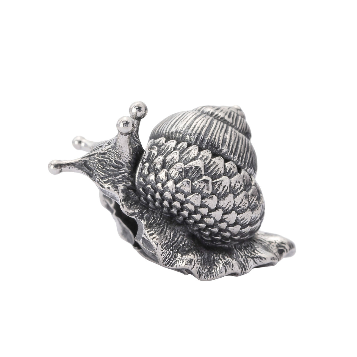 Oakleaf Snail